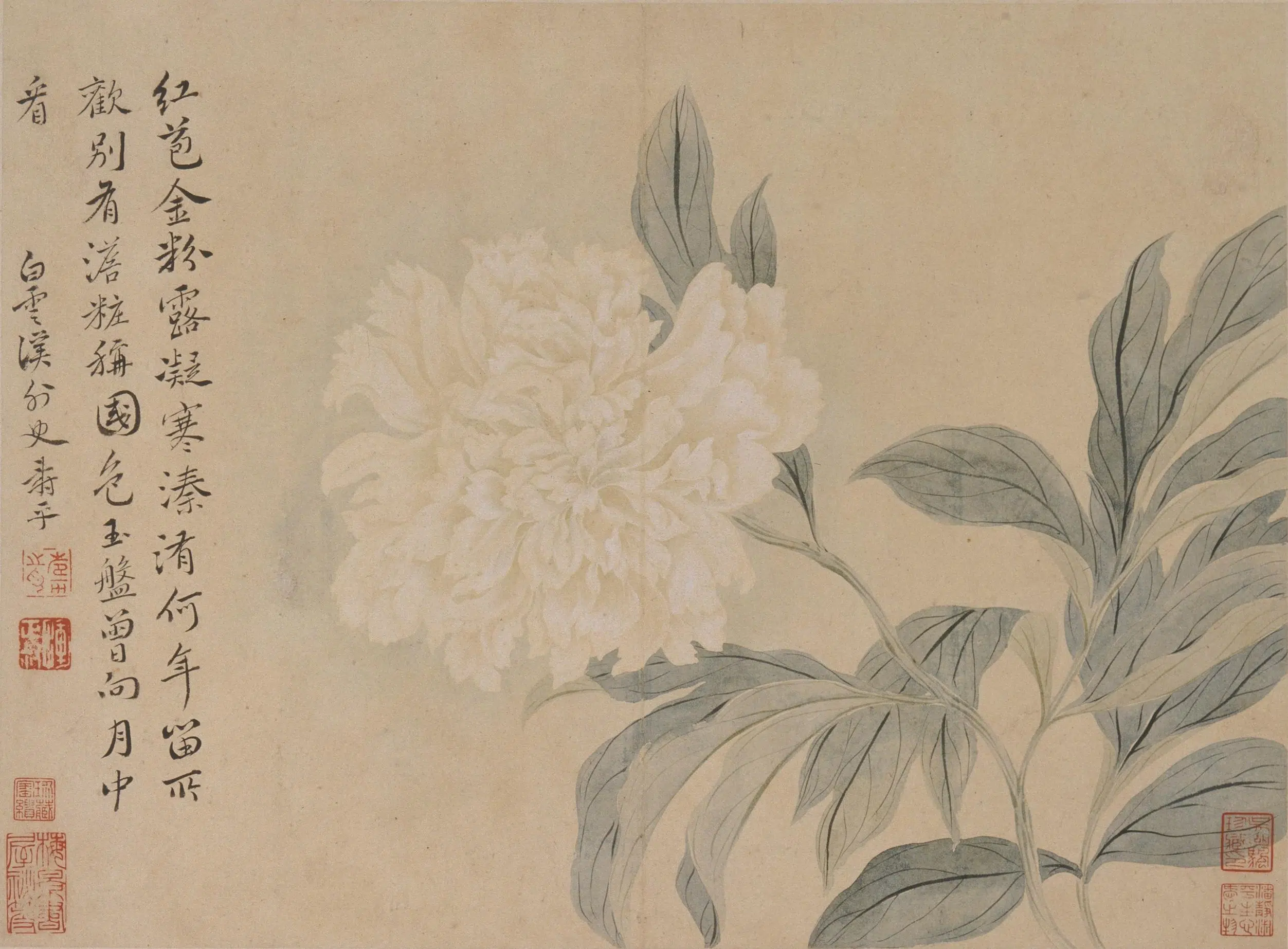 清代【恽寿平】《花卉册》 第7张 清代【恽寿平】《花卉册》 第7张