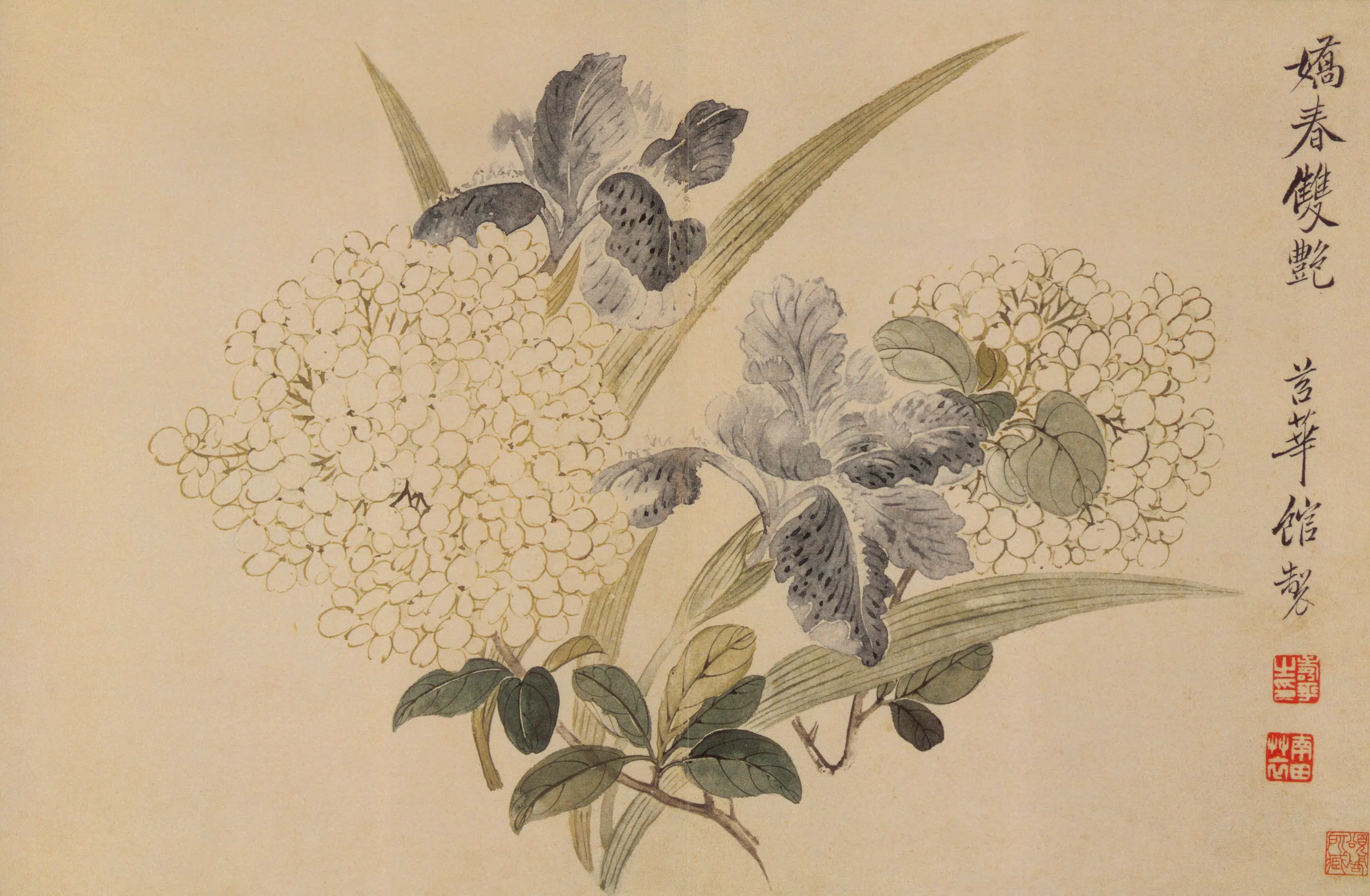 清代【恽寿平】《山水花卉神品册-11开》 第7张