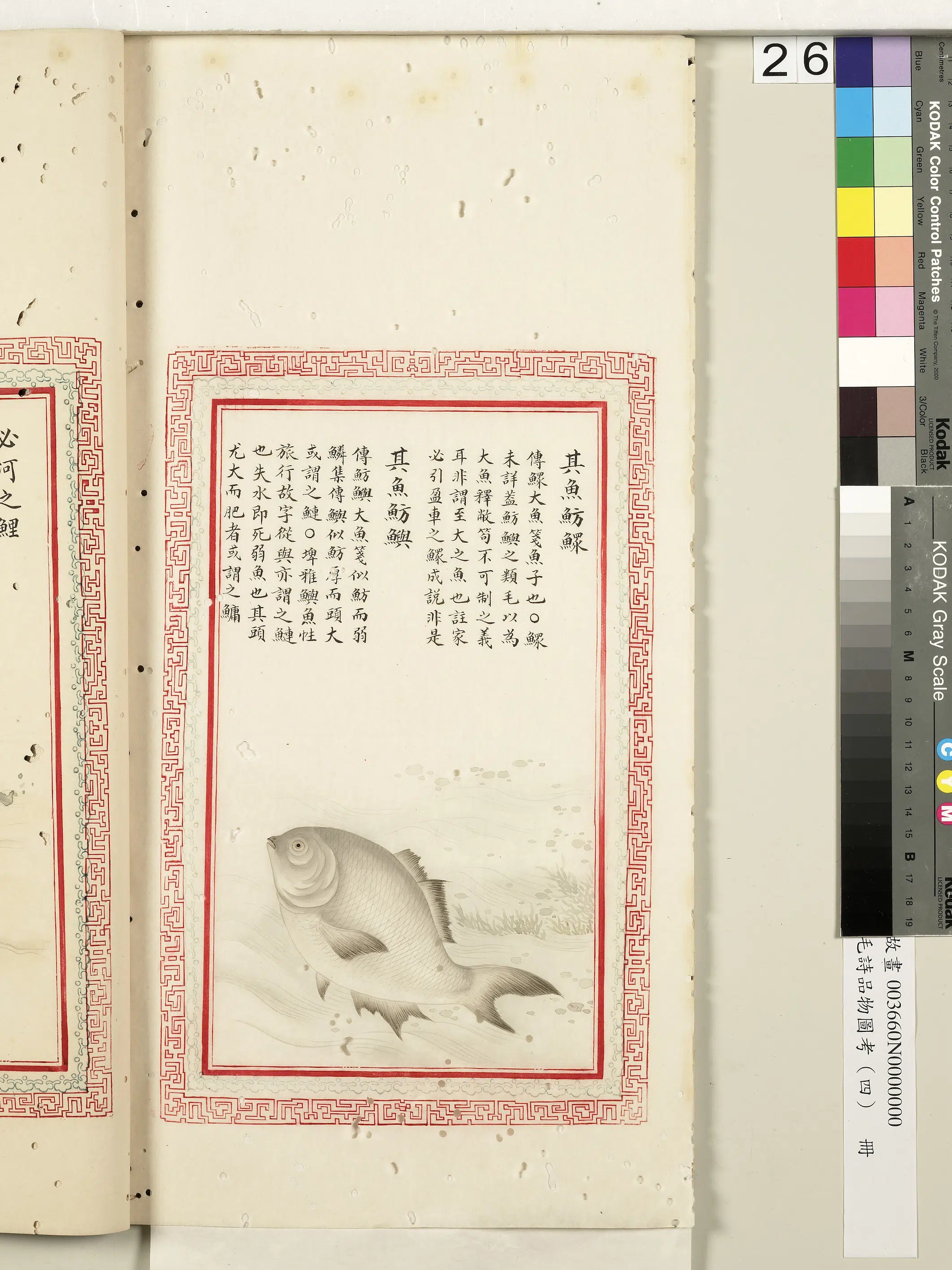 清代《毛诗品物图考(四)册-2》 第5张 清代《毛诗品物图考(四)册-2》 第5张