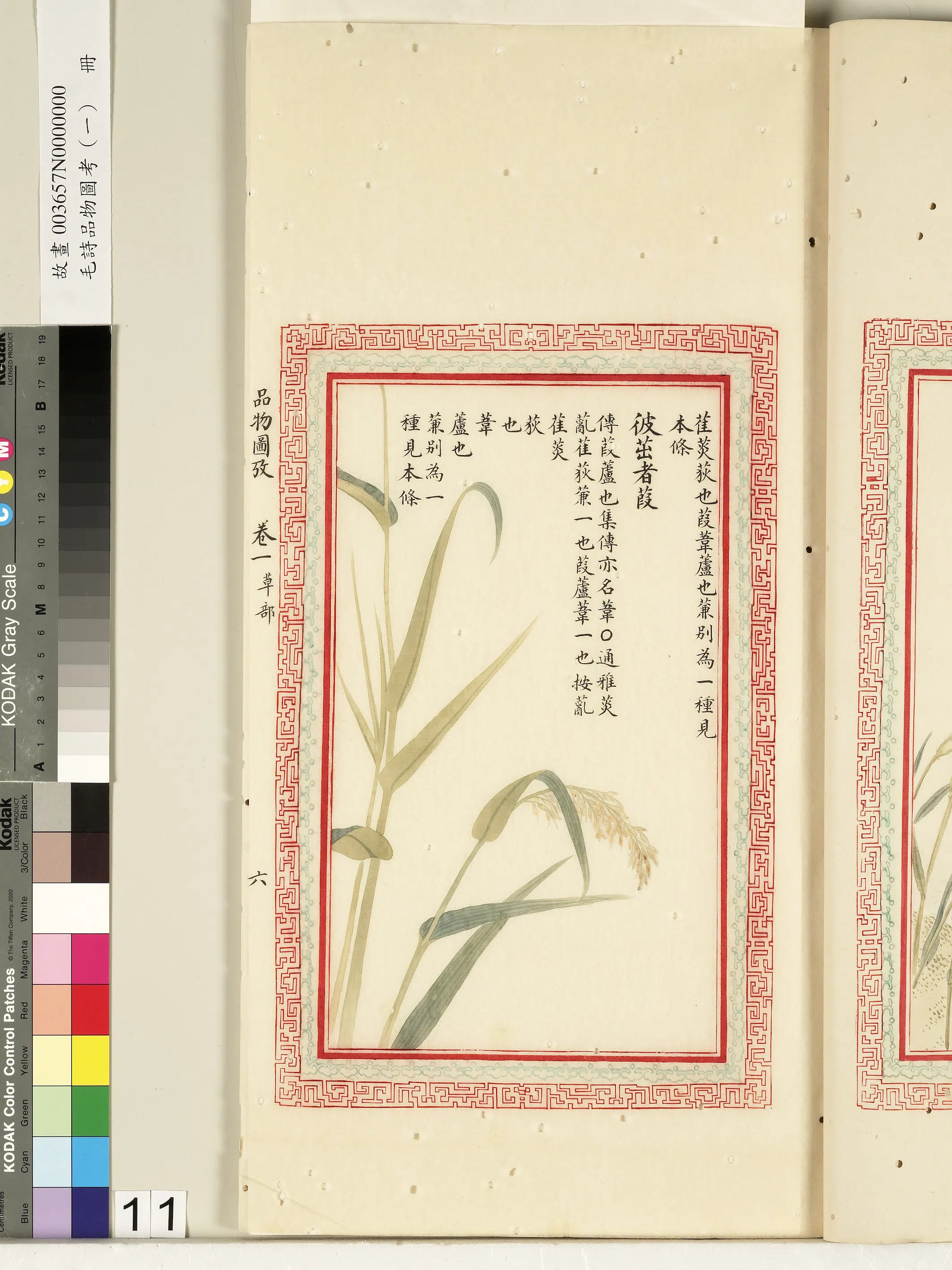 清朝《毛诗品物图考（一）册-2》 第23张