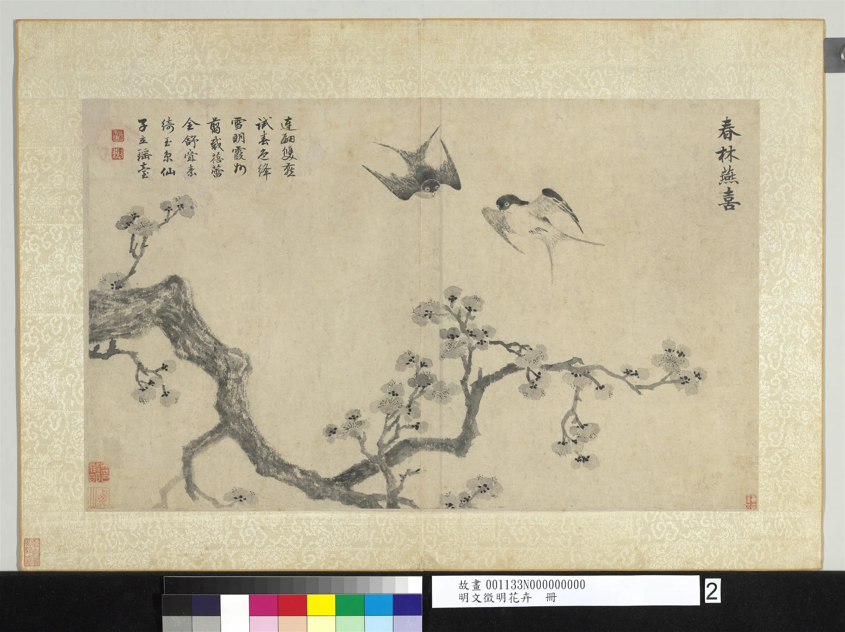 明朝【文征明徵明】《花卉册》 第5张 明朝【文征明徵明】《花卉册》 第5张