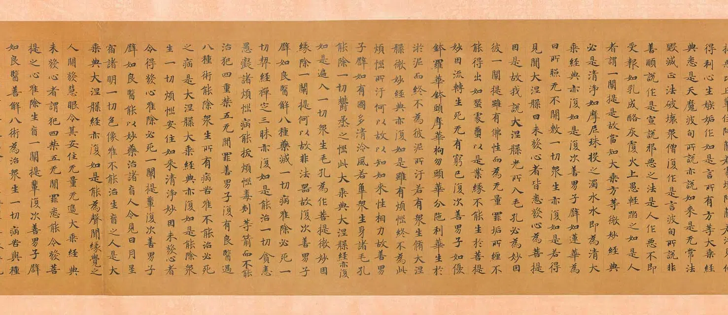 唐朝【佚名】《楷书大般涅槃经第九卷》 第11张 唐朝【佚名】《楷书大般涅槃经第九卷》 第11张