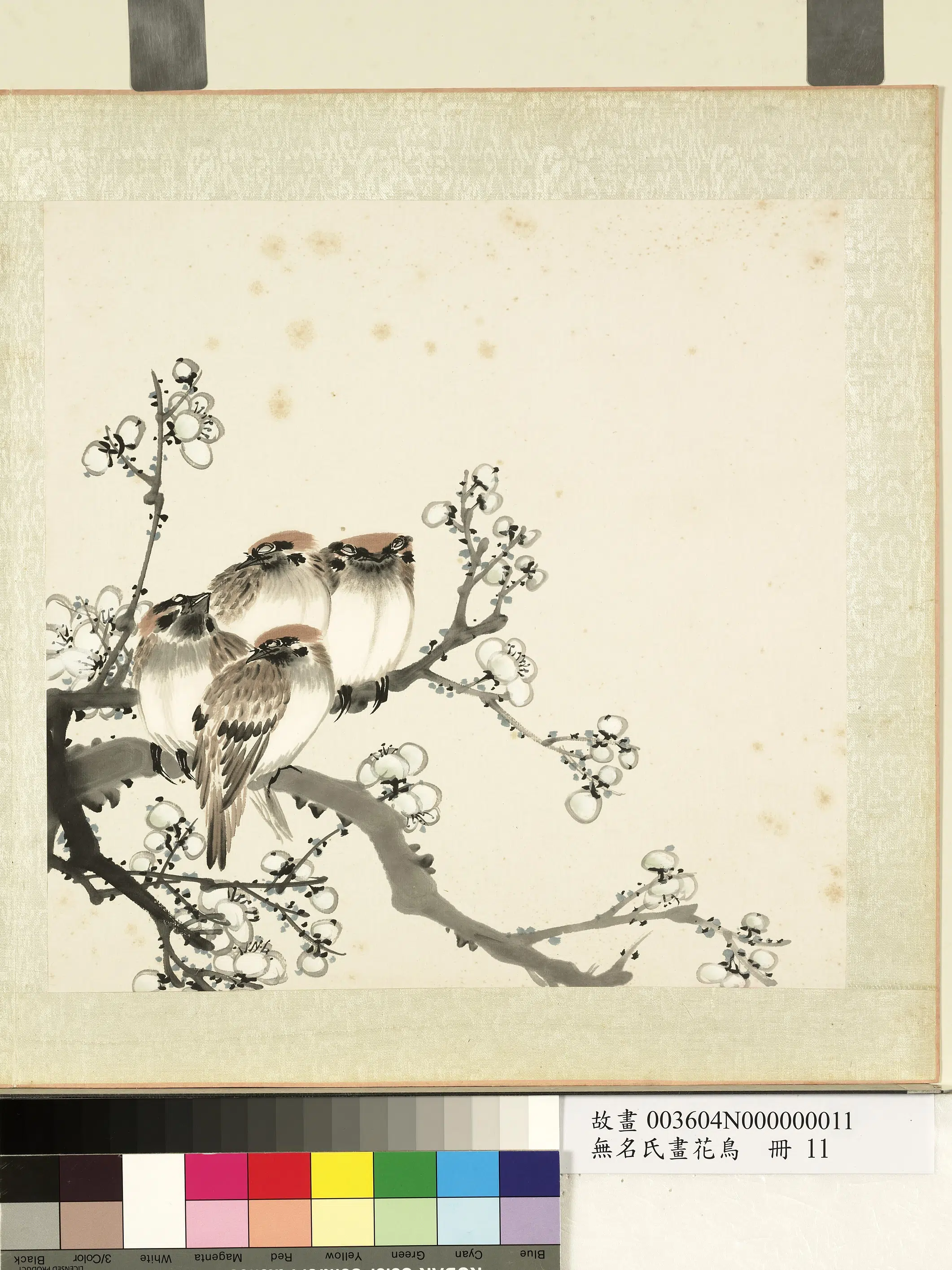 《无名氏画花鸟册》 第9张 《无名氏画花鸟册》 第9张