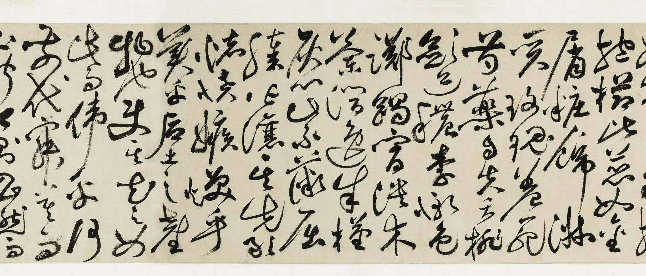 明朝【祝允明】《草书牡丹赋卷》 第6张