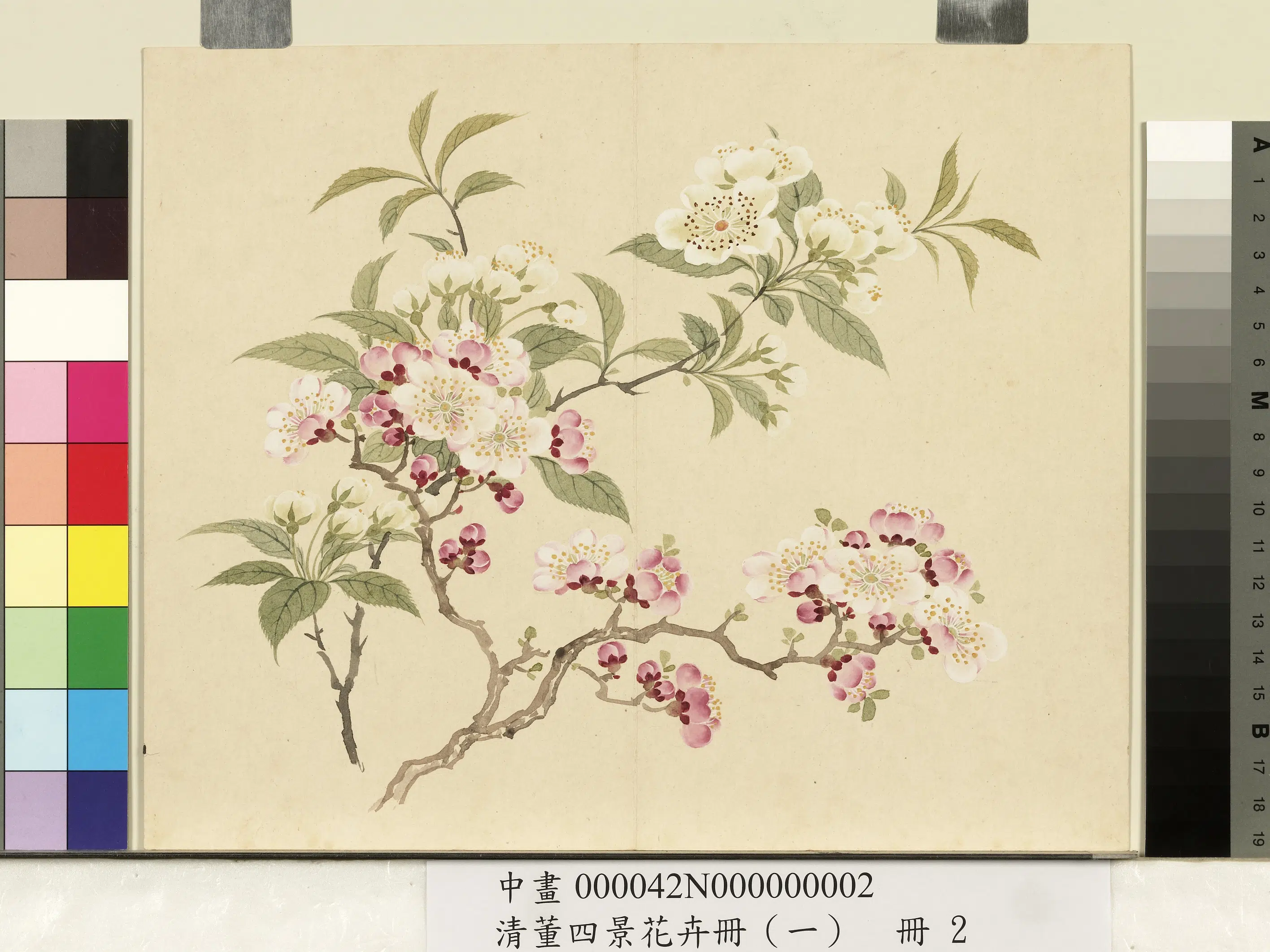 清代【董诰】《四景花卉(一)册-春景花卉之二》 第1张 清代【董诰】《四景花卉(一)册-春景花卉之二》 第1张