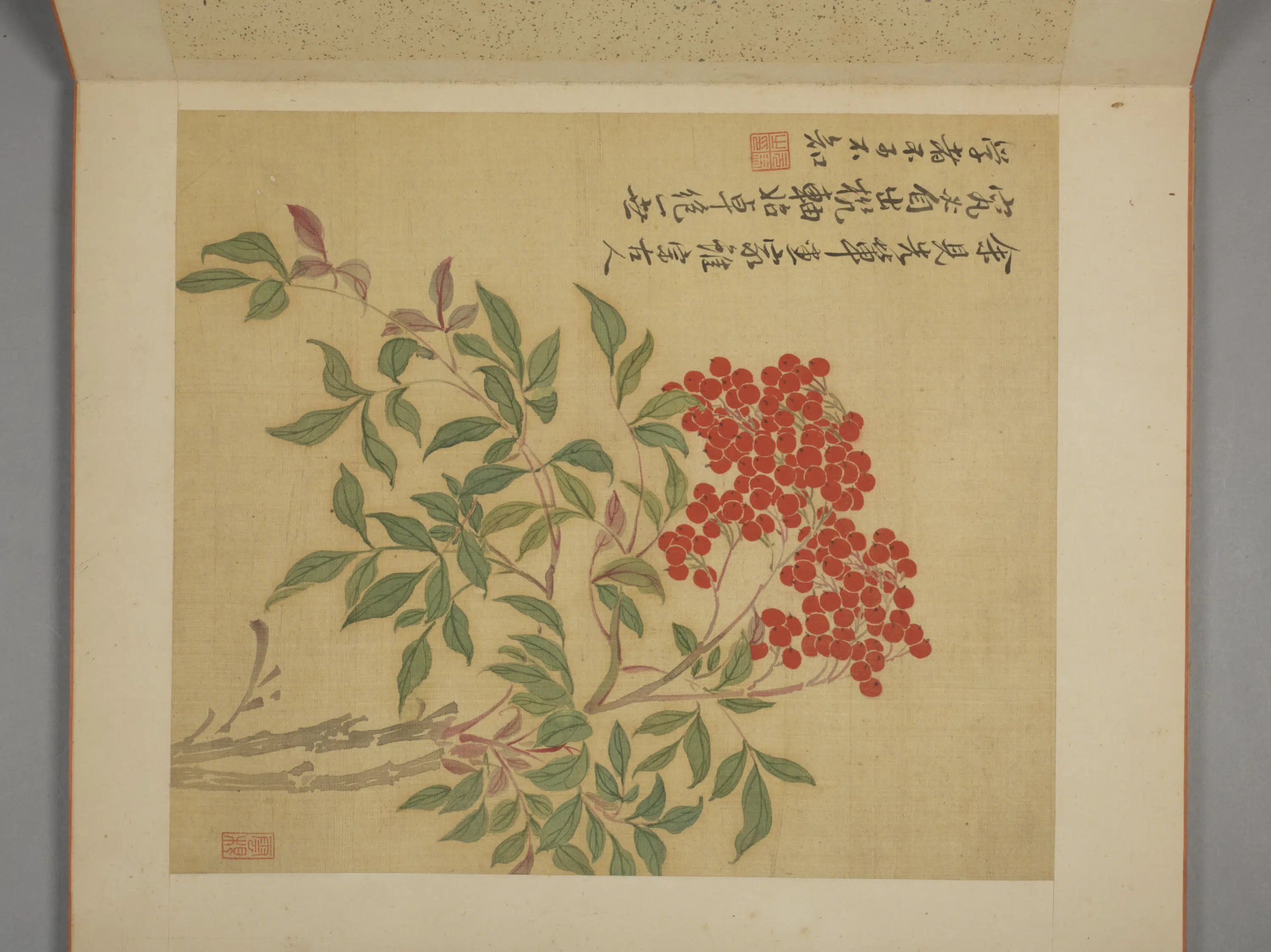 清代【马元驭】《花卉册》