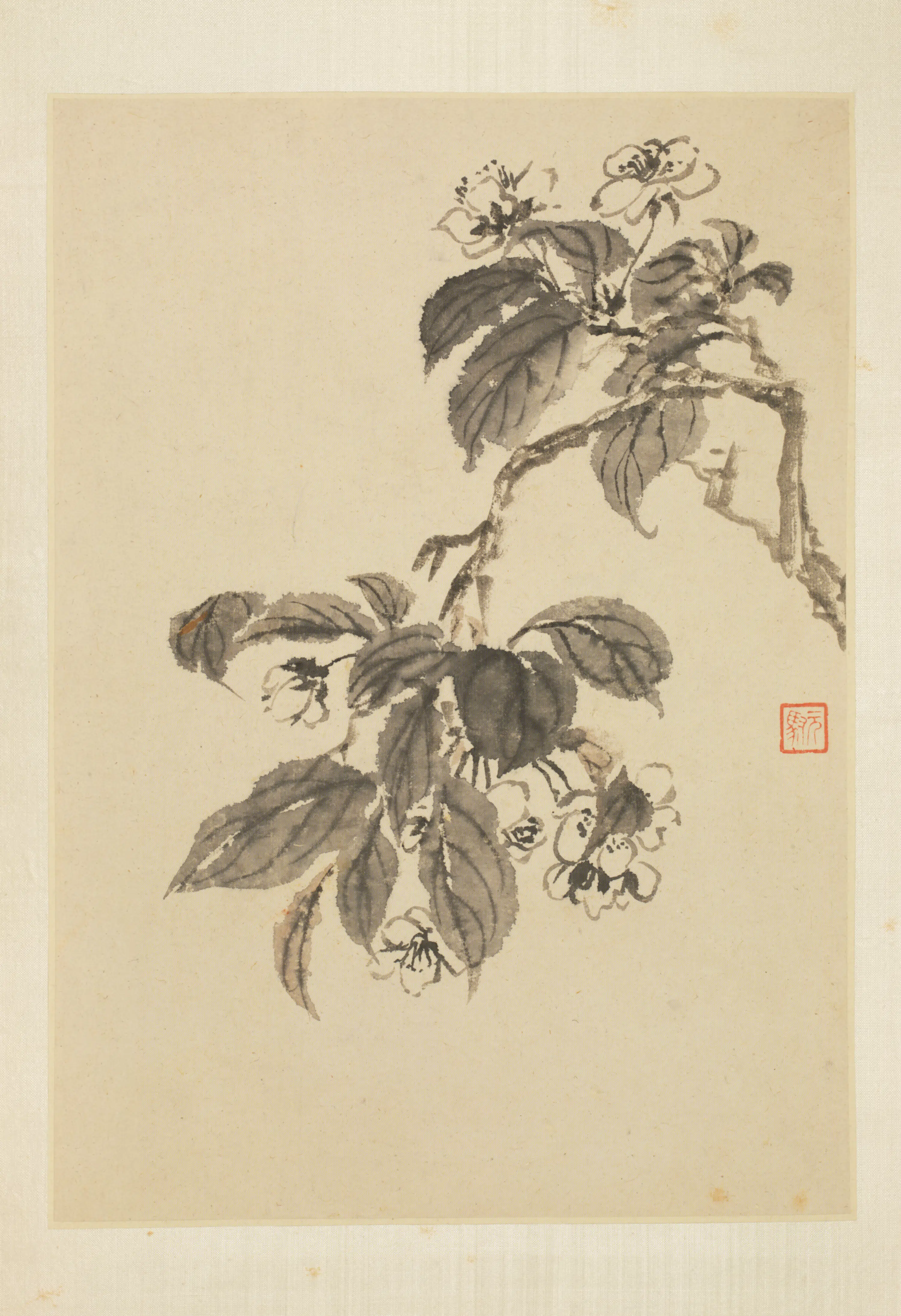 清代【马元驭】《花鸟册》 第9张