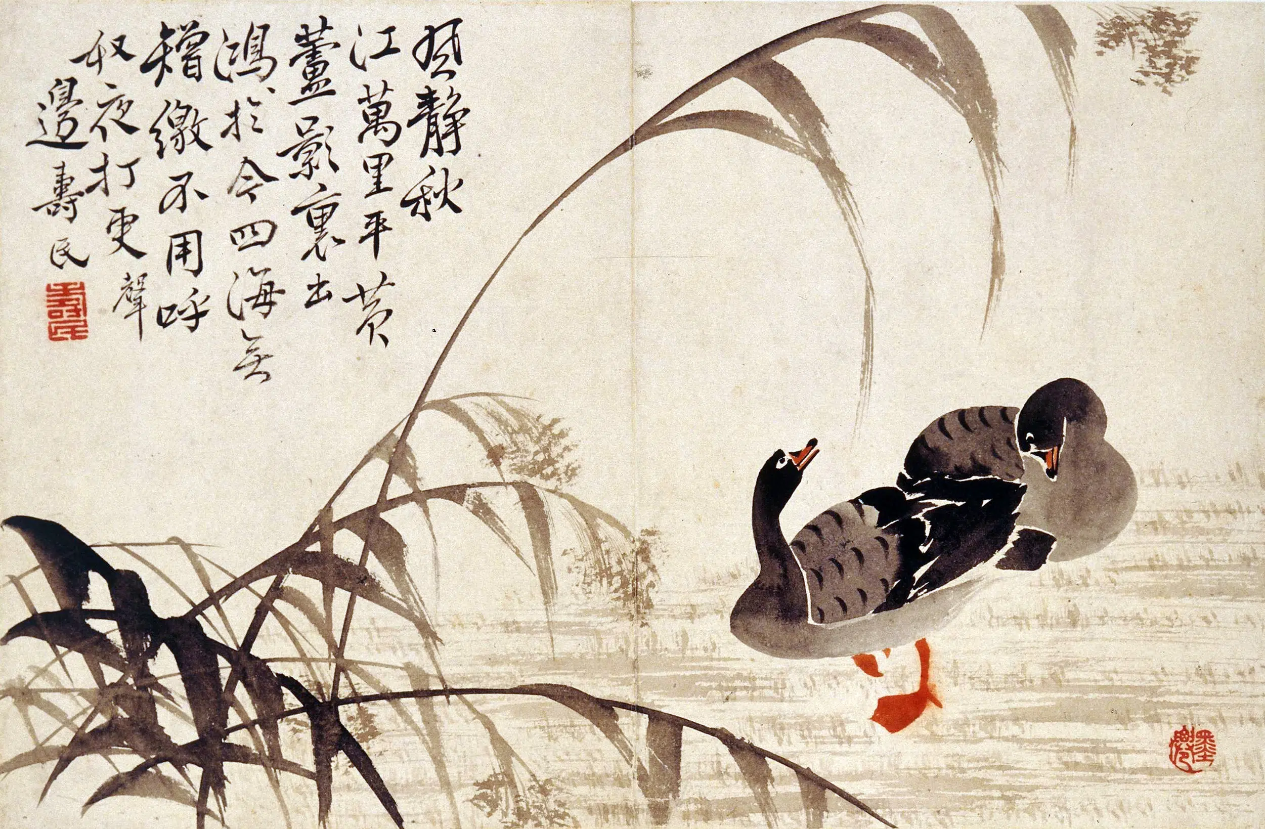 清代【边寿民】《芦雁图册（八开）》 第6张