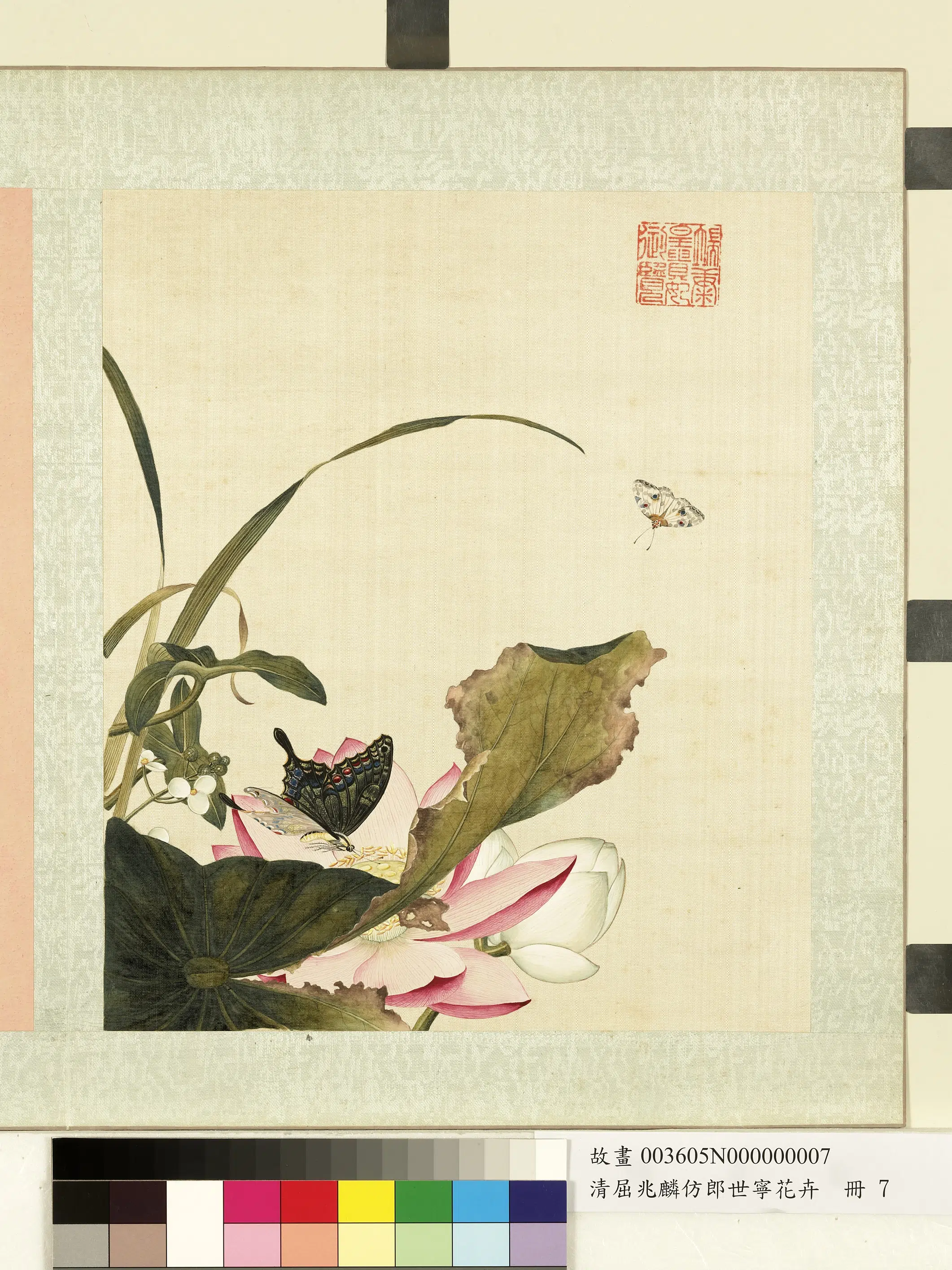 清代【屈兆麟】《仿郎世宁花卉册》 第11张 清代【屈兆麟】《仿郎世宁花卉册》 第11张