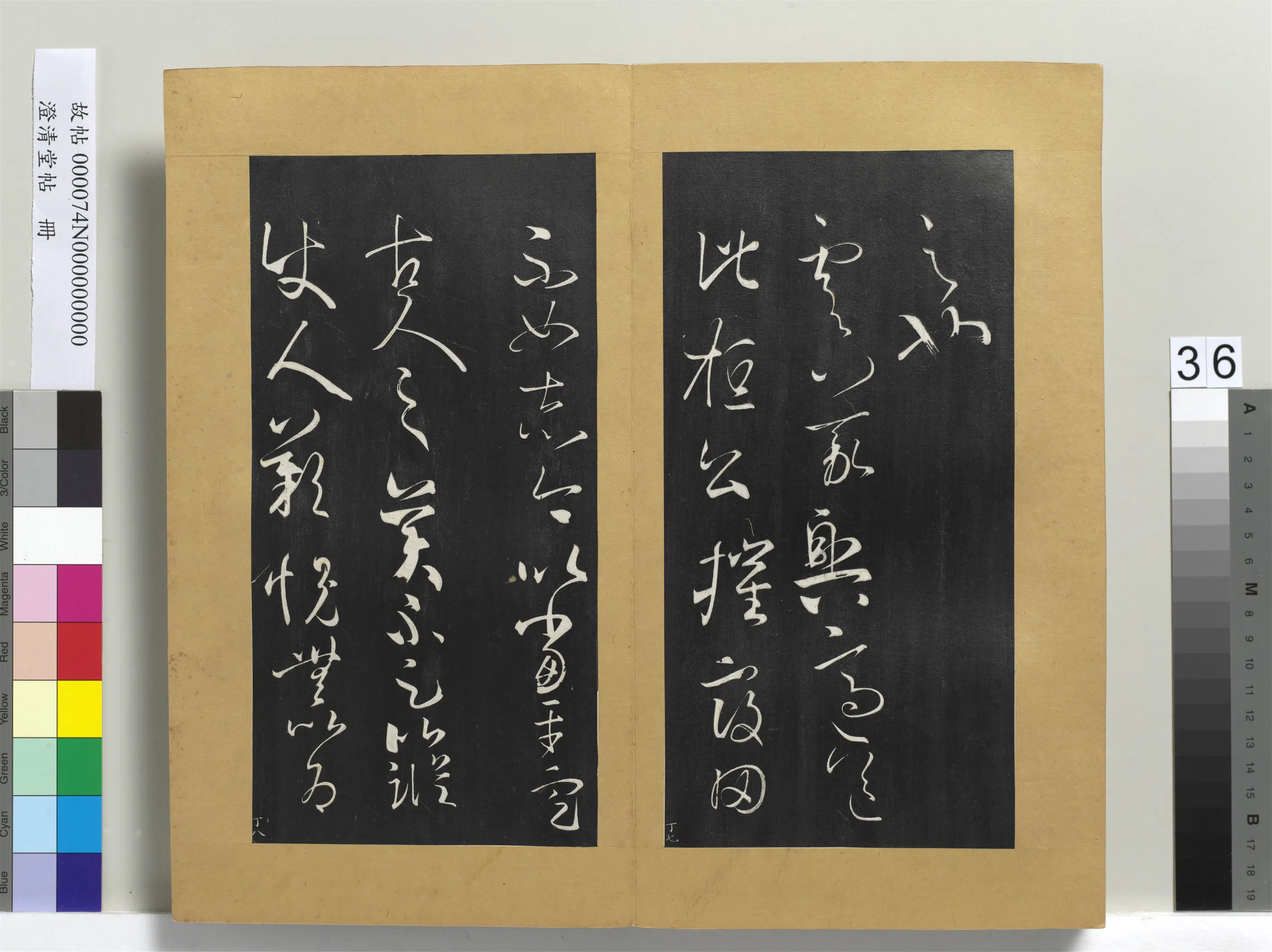 东晋【王羲之】《澄清堂帖册-晋王羲之得见帖》 第2张