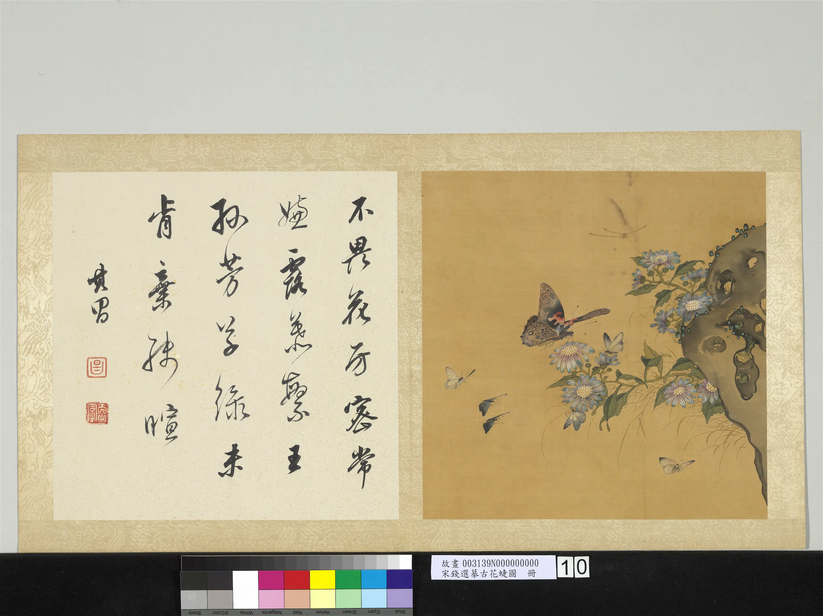 宋-元朝【钱选】《摹古花蜨图册-菊》