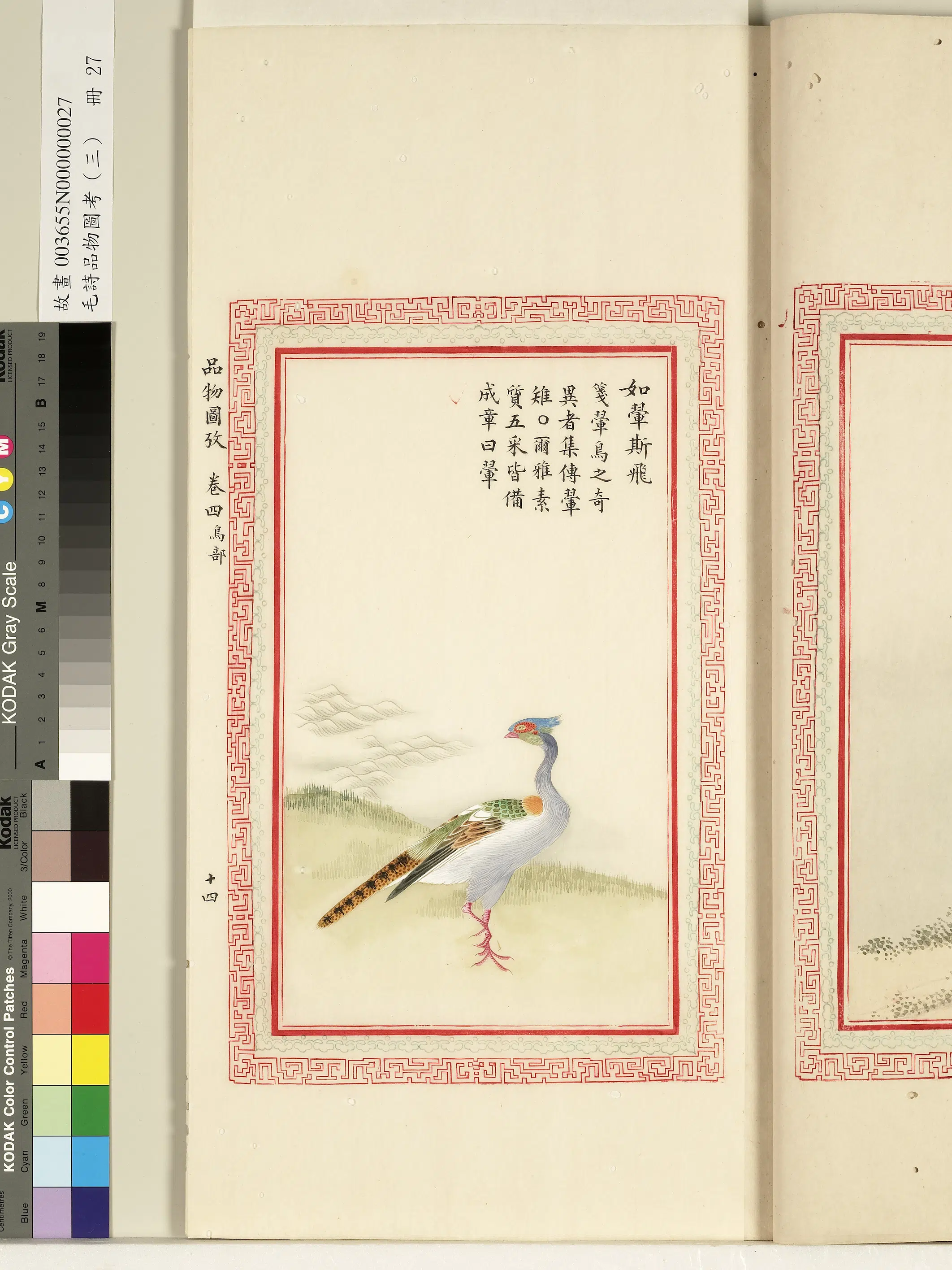 清代《毛诗品物图考(三)册-1》 第13张 清代《毛诗品物图考(三)册-1》 第13张