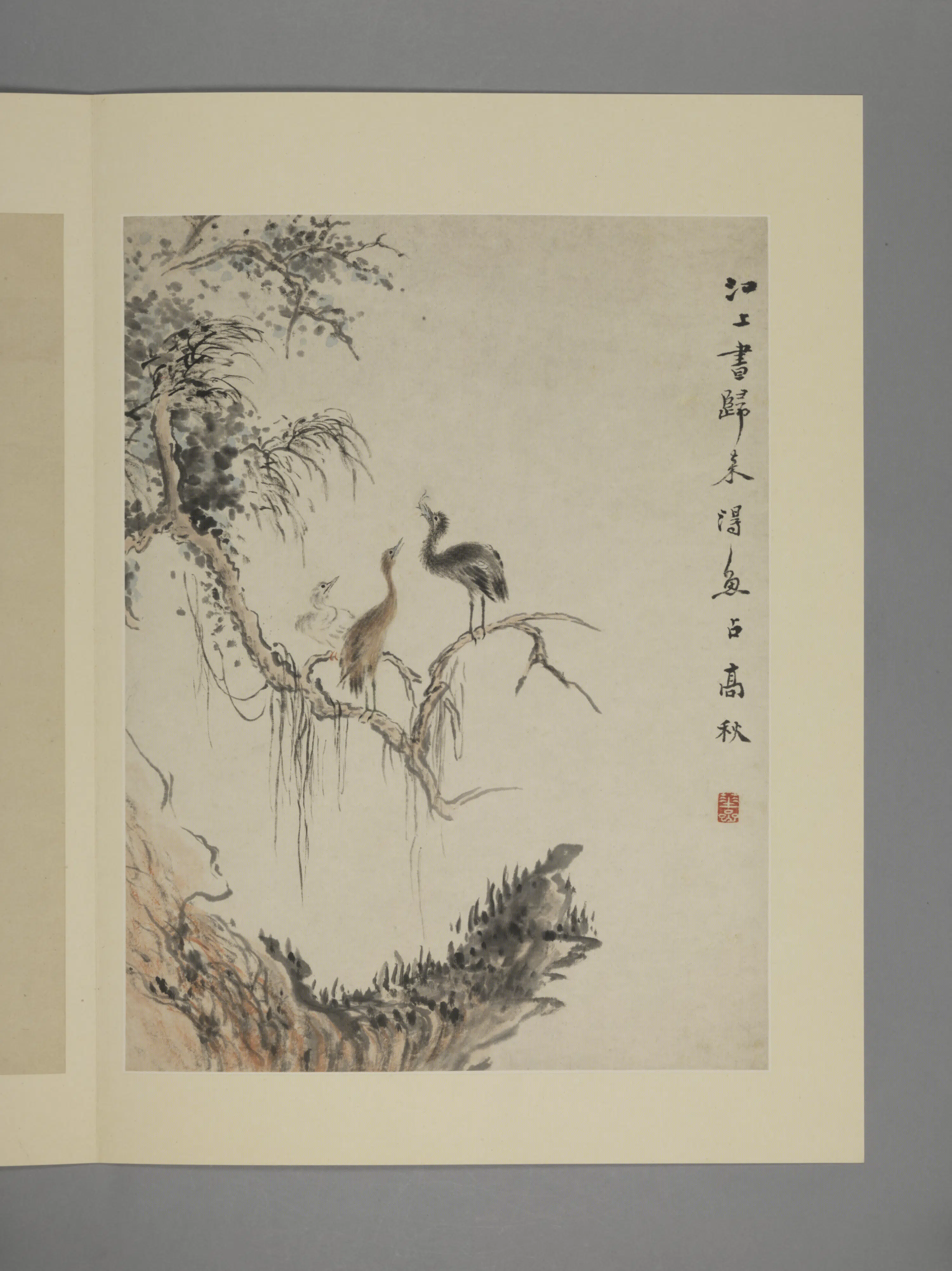 清代【华喦】《花鸟图册（11开）》 第8张
