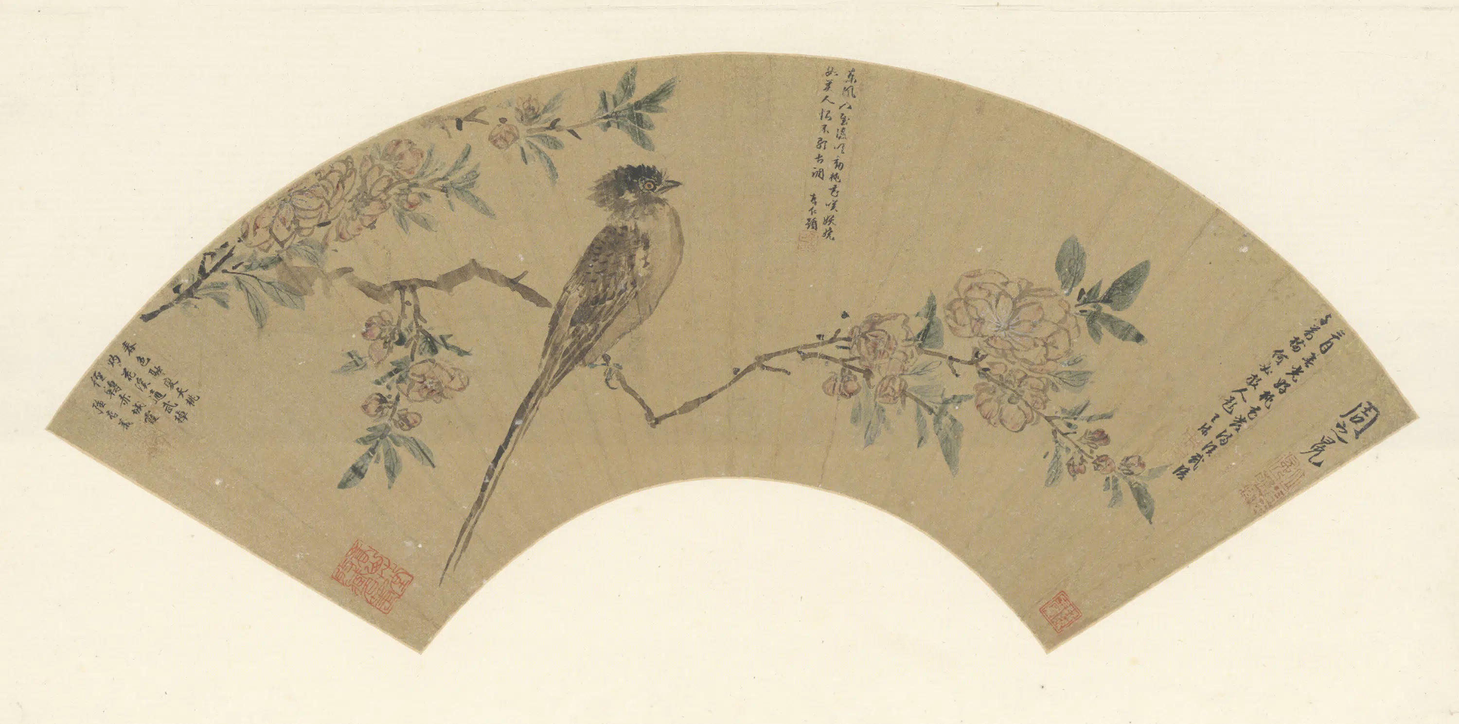 明朝【周之冕】《桃花双鸟图扇页》