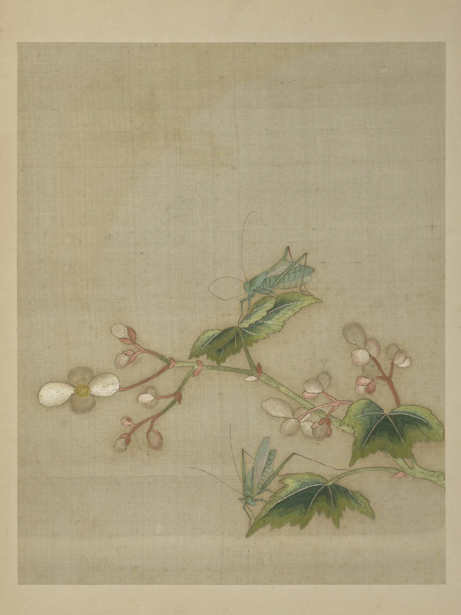 《绣绘花鸟册-2》 第5张