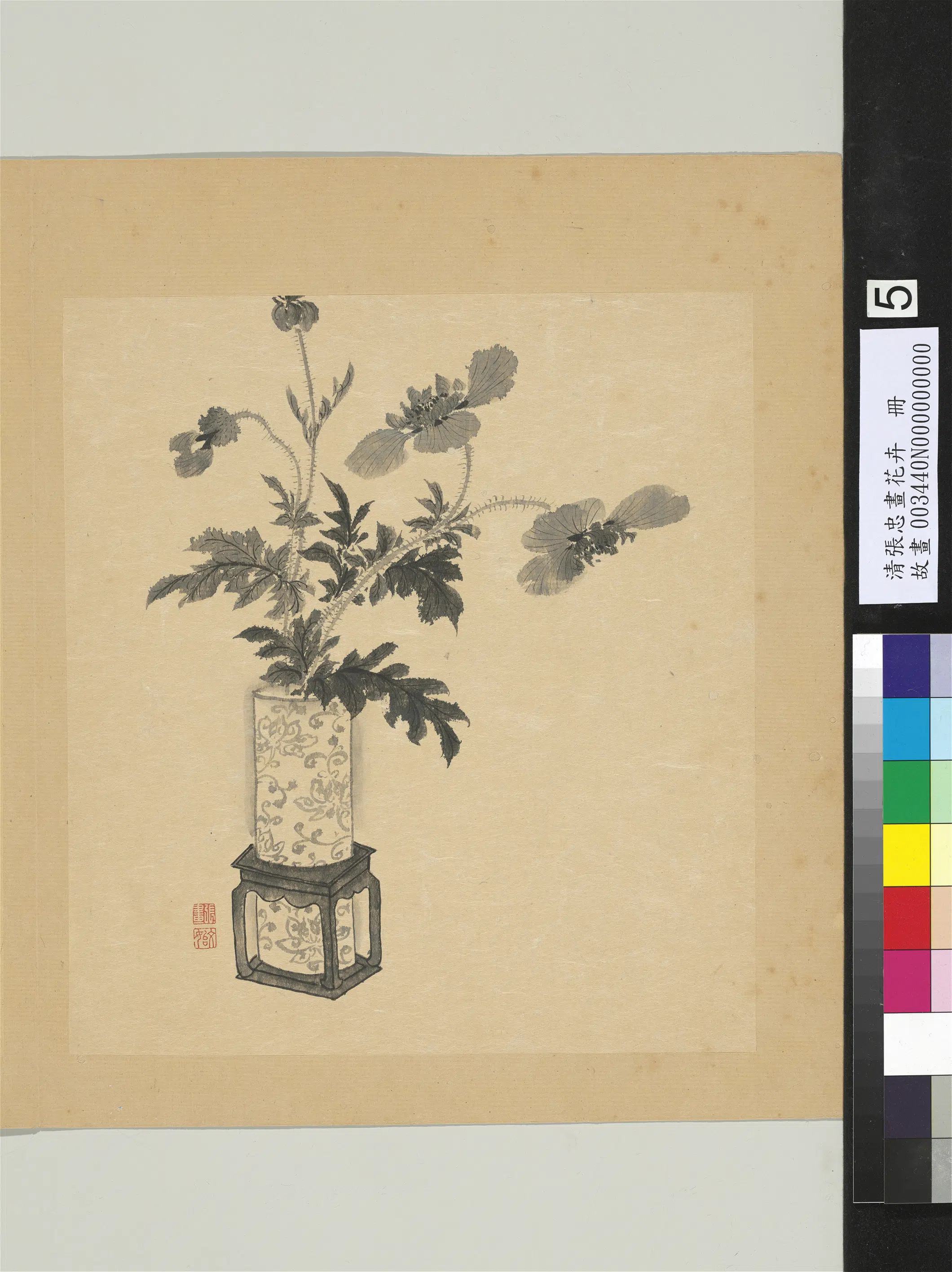 清代【张忠】《画花卉册-罂粟》