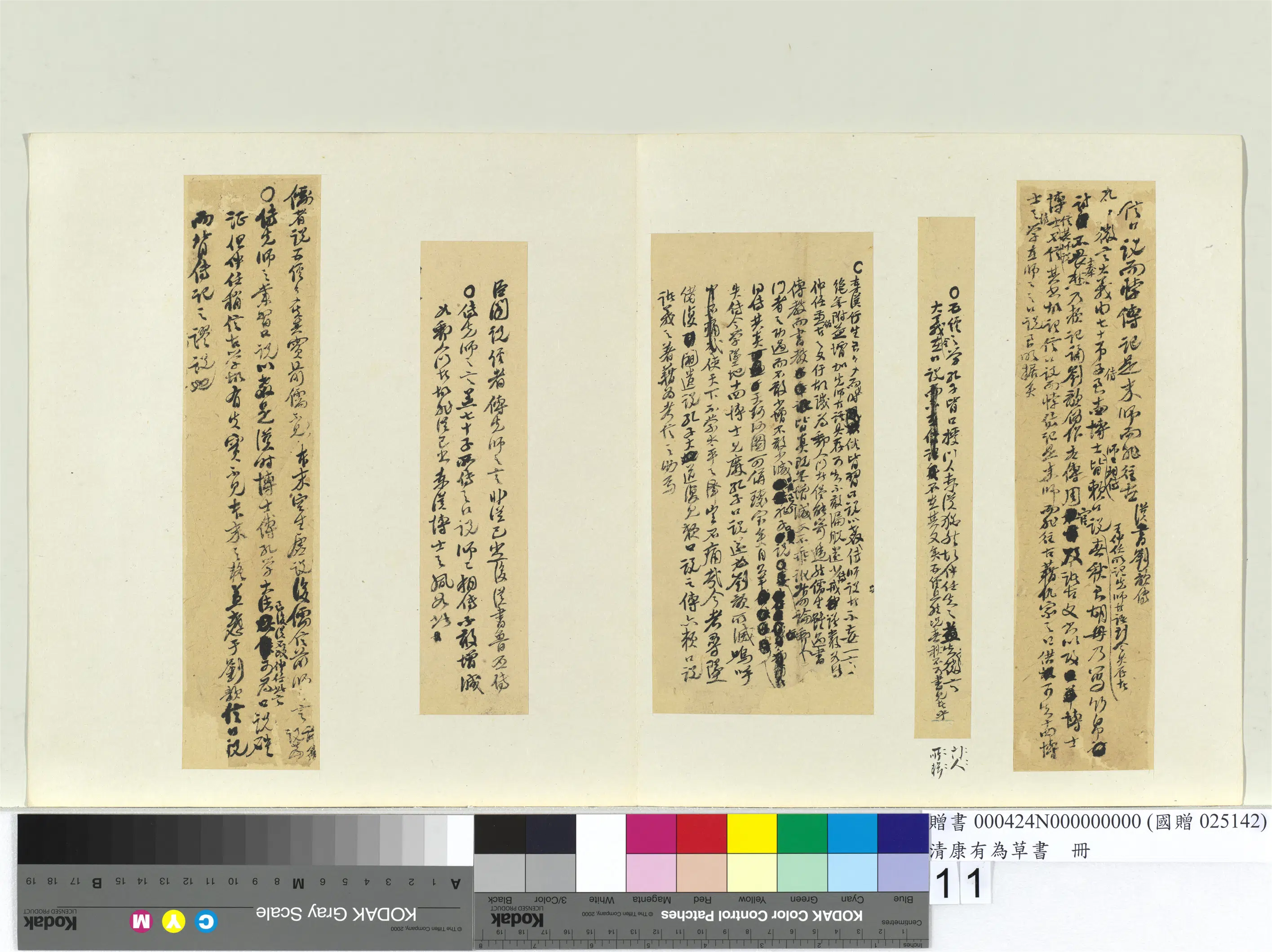 清代【康有为】《草书册》 第3张