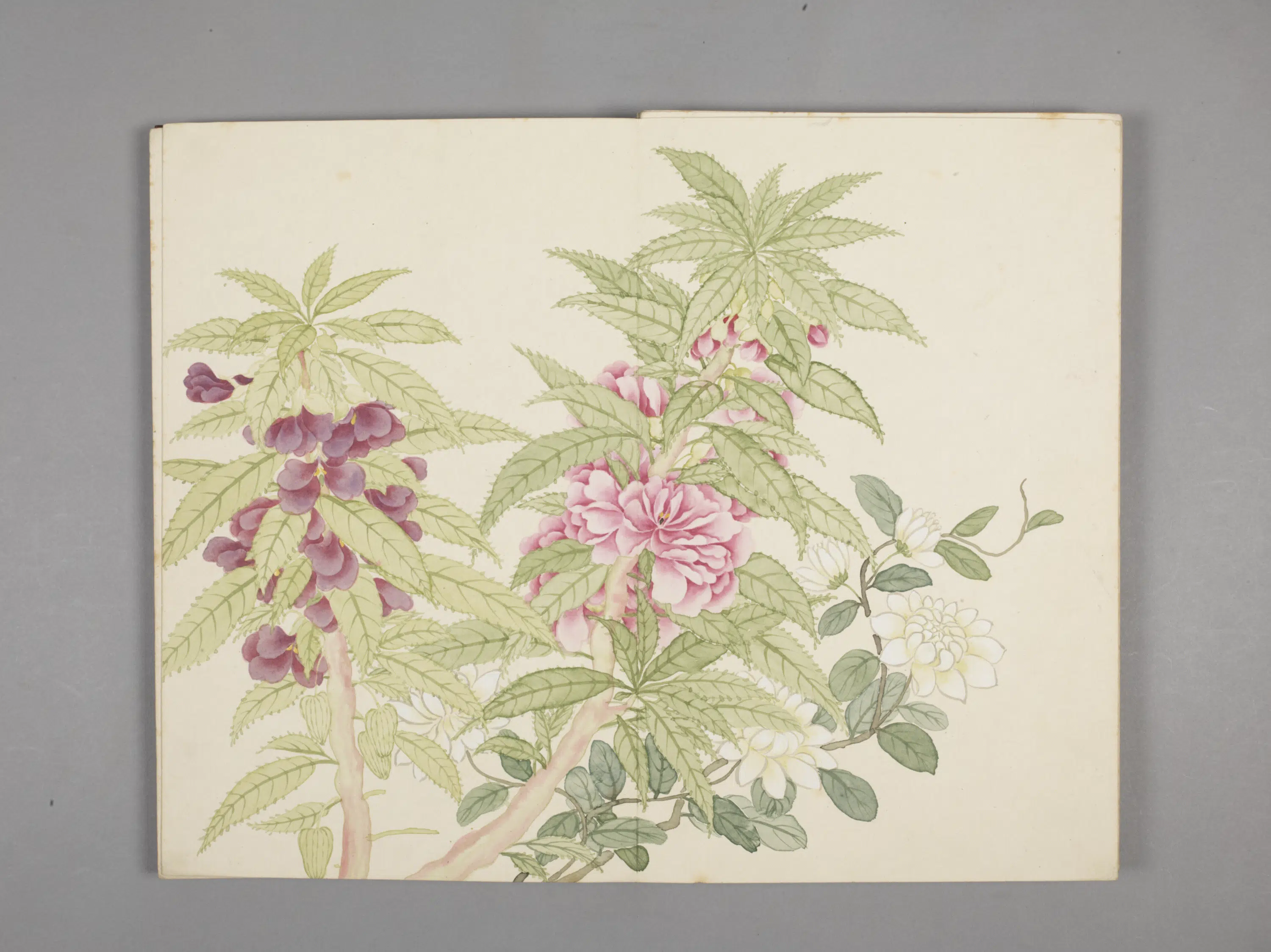 清代【董诰】《绚锦胪芳图册(10开)》 第10张 清代【董诰】《绚锦胪芳图册(10开)》 第10张
