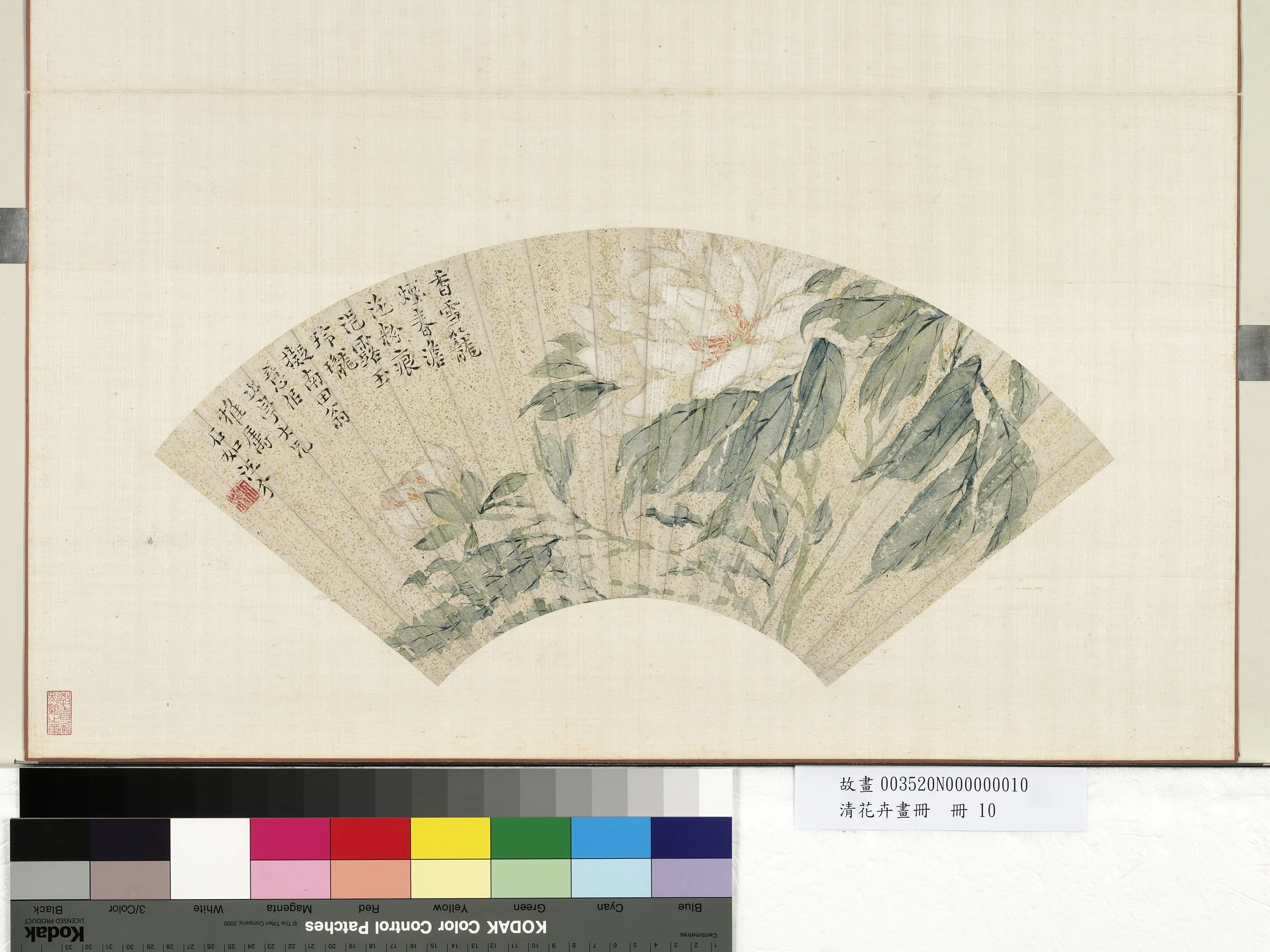 清代【江介】《花卉画册-花卉》