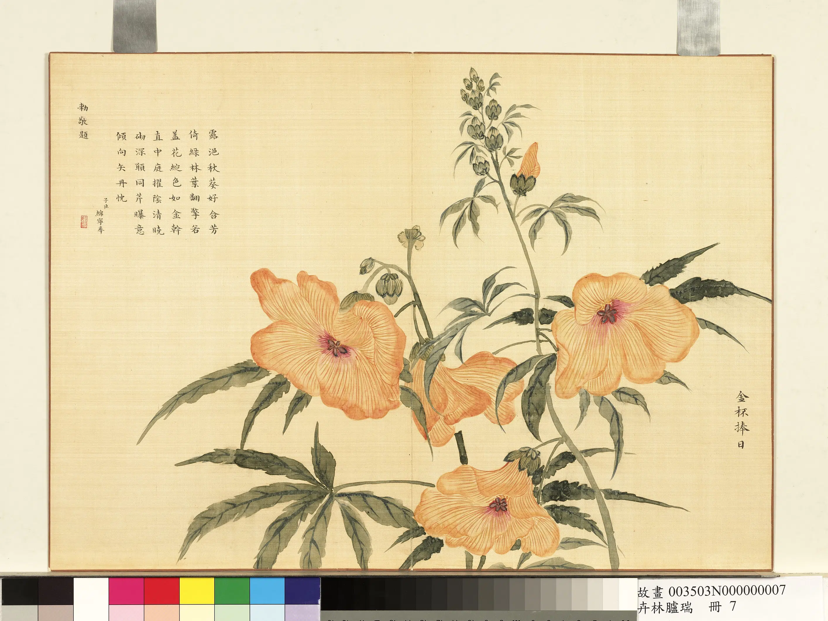 清代《卉林胪瑞册-清人金杯捧日》