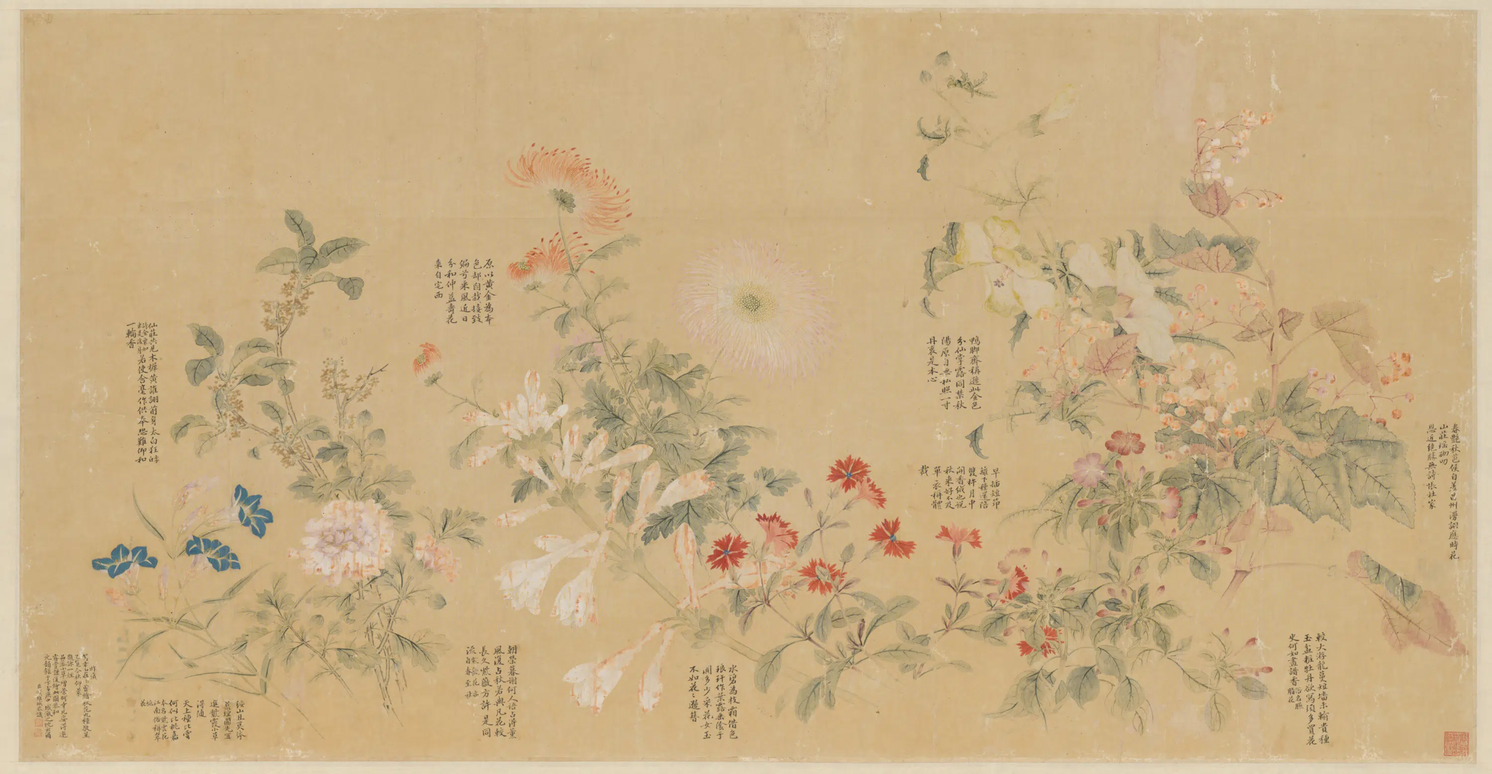 清代【钱维城】《秋花九种图轴》