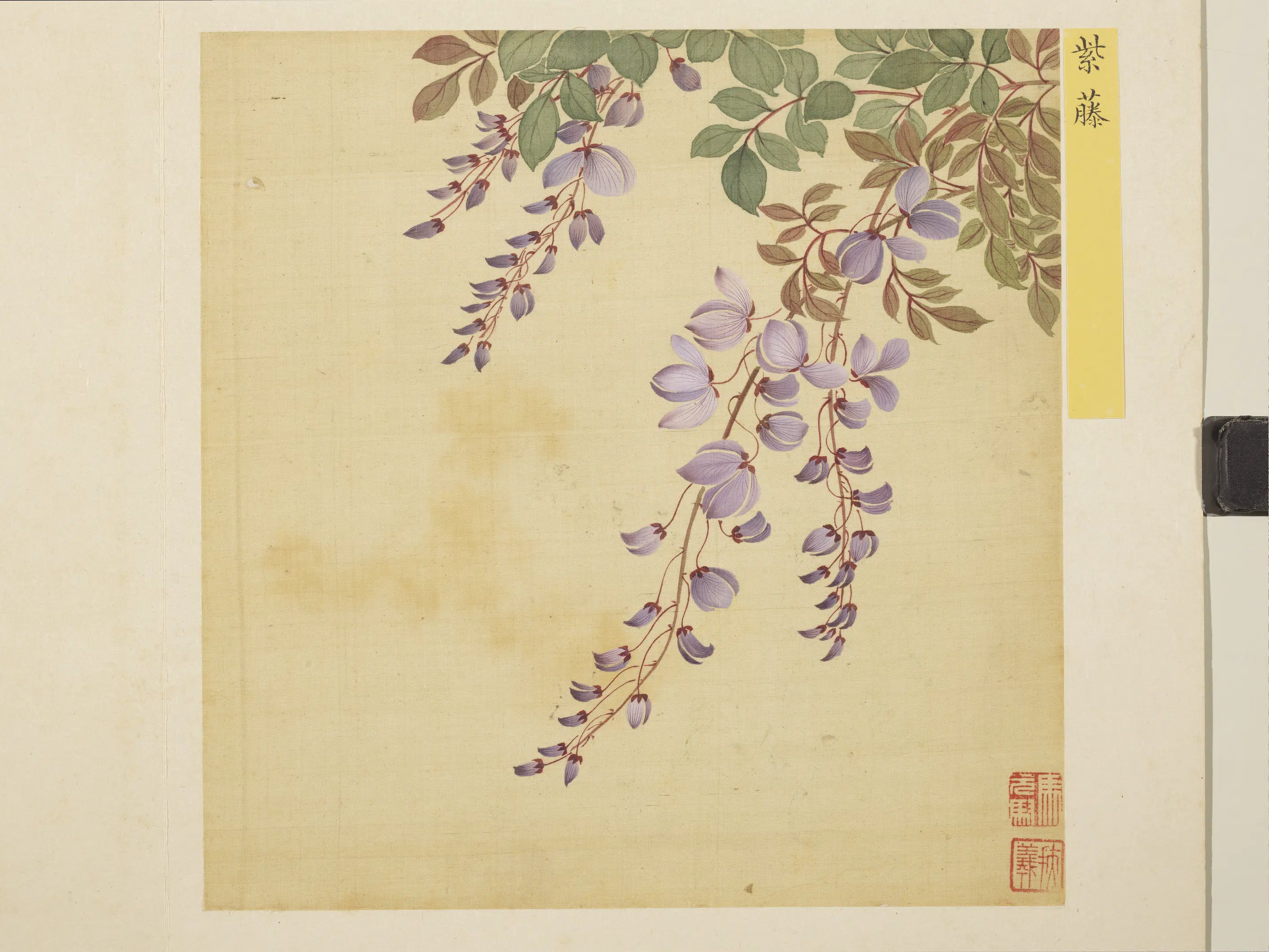 清朝【马元驭】《花卉册》 第8张 清朝【马元驭】《花卉册》 第8张
