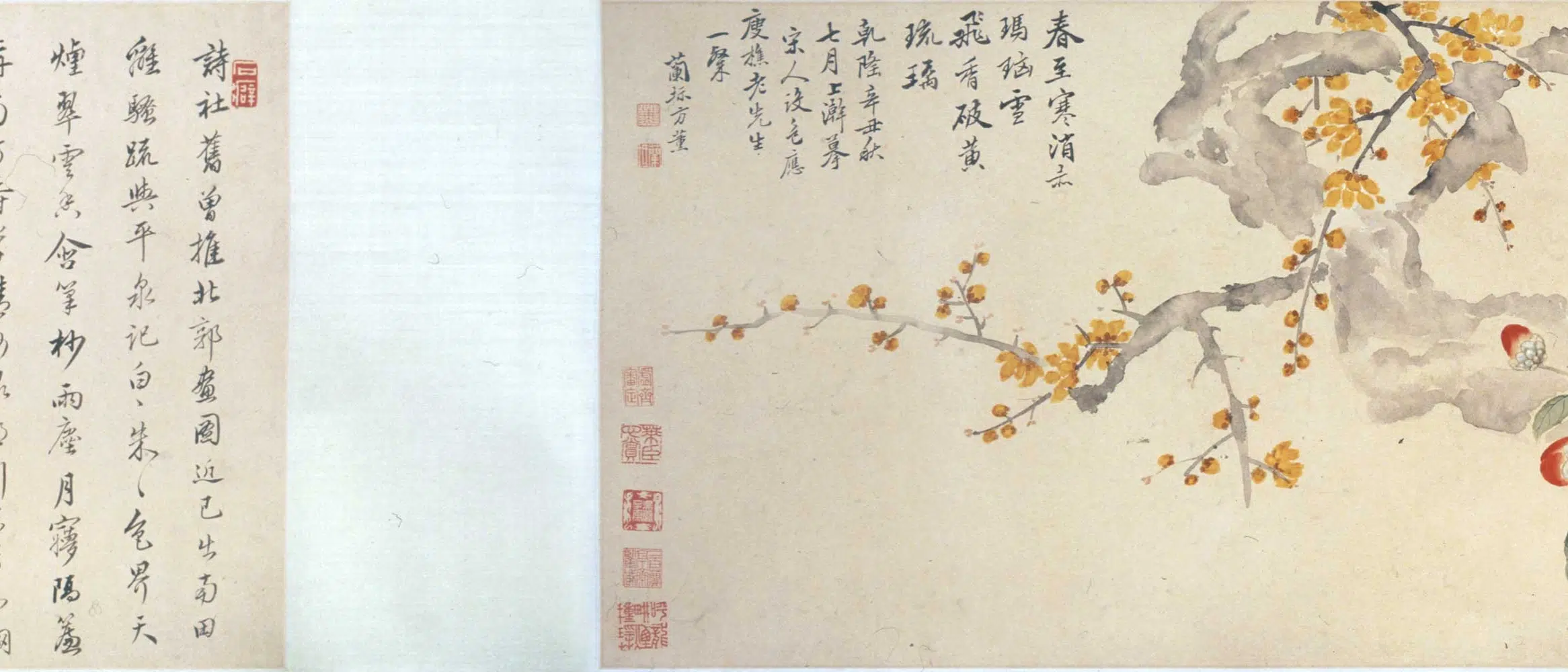 清代【方薰】《摹宋人设色花卉卷》 第4张