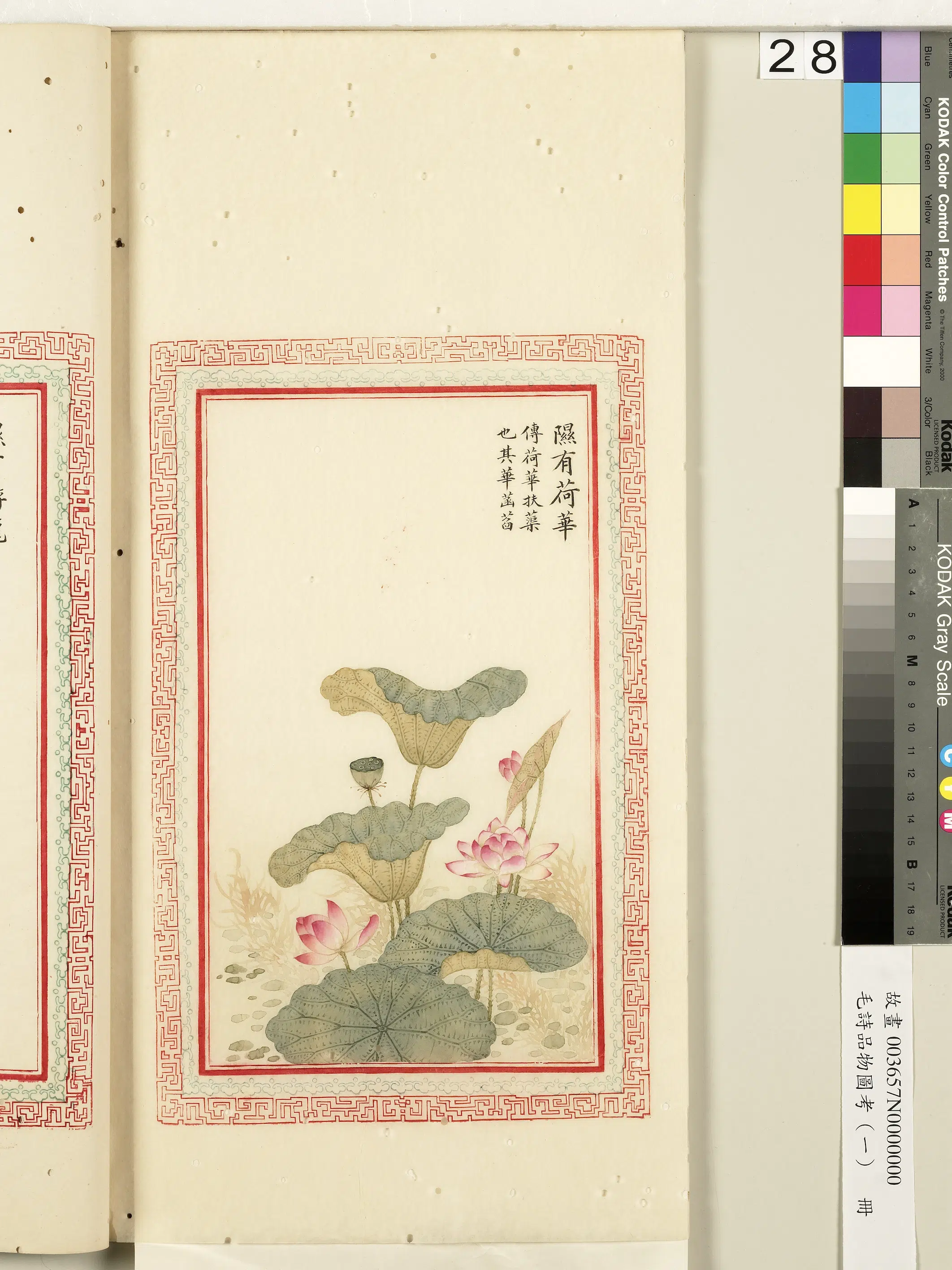 清朝《毛诗品物图考(一)册-2》 第56张 清朝《毛诗品物图考(一)册-2》 第56张
