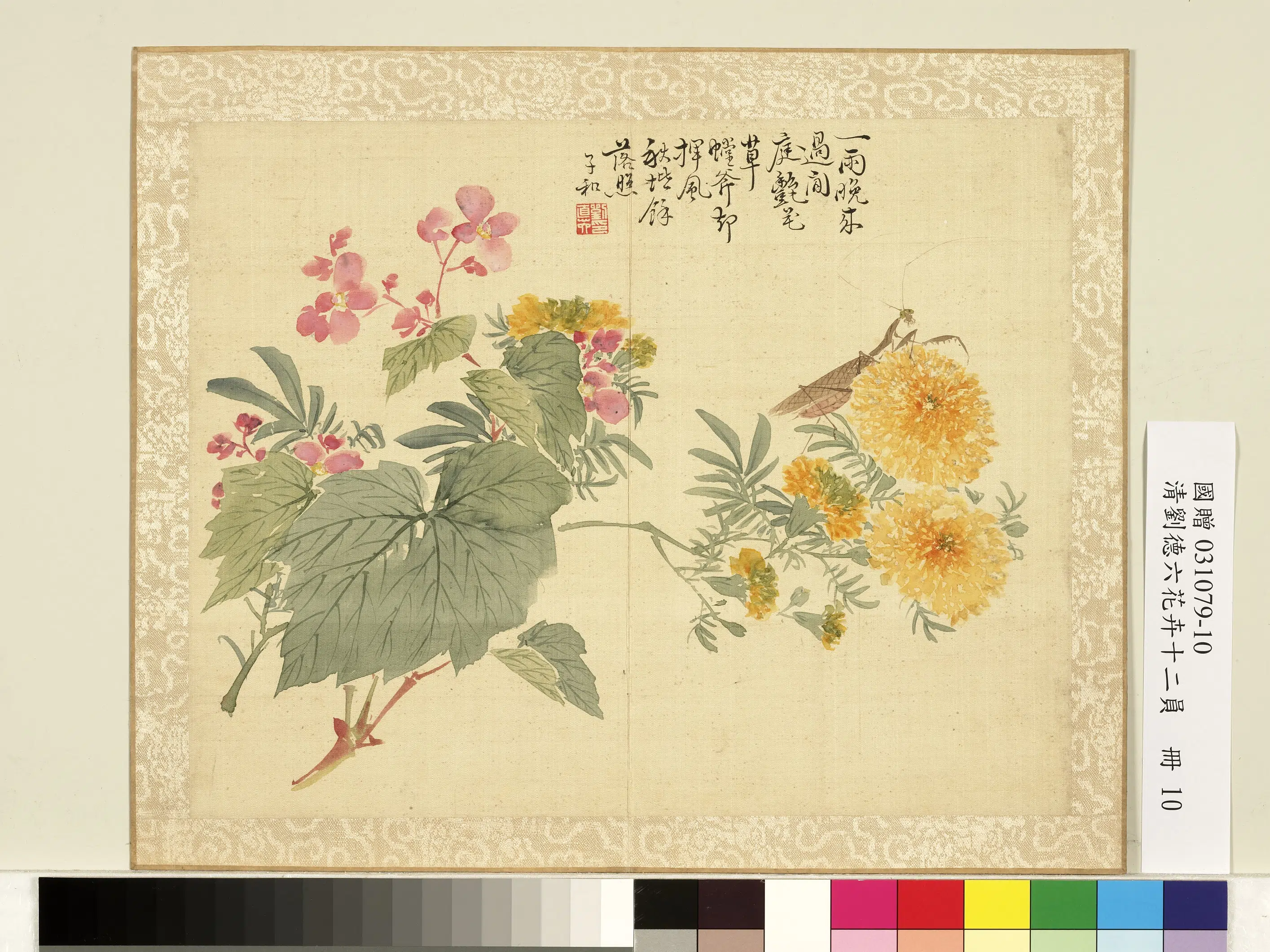 清代【刘德六】《花卉十二员册-秋菊海棠》