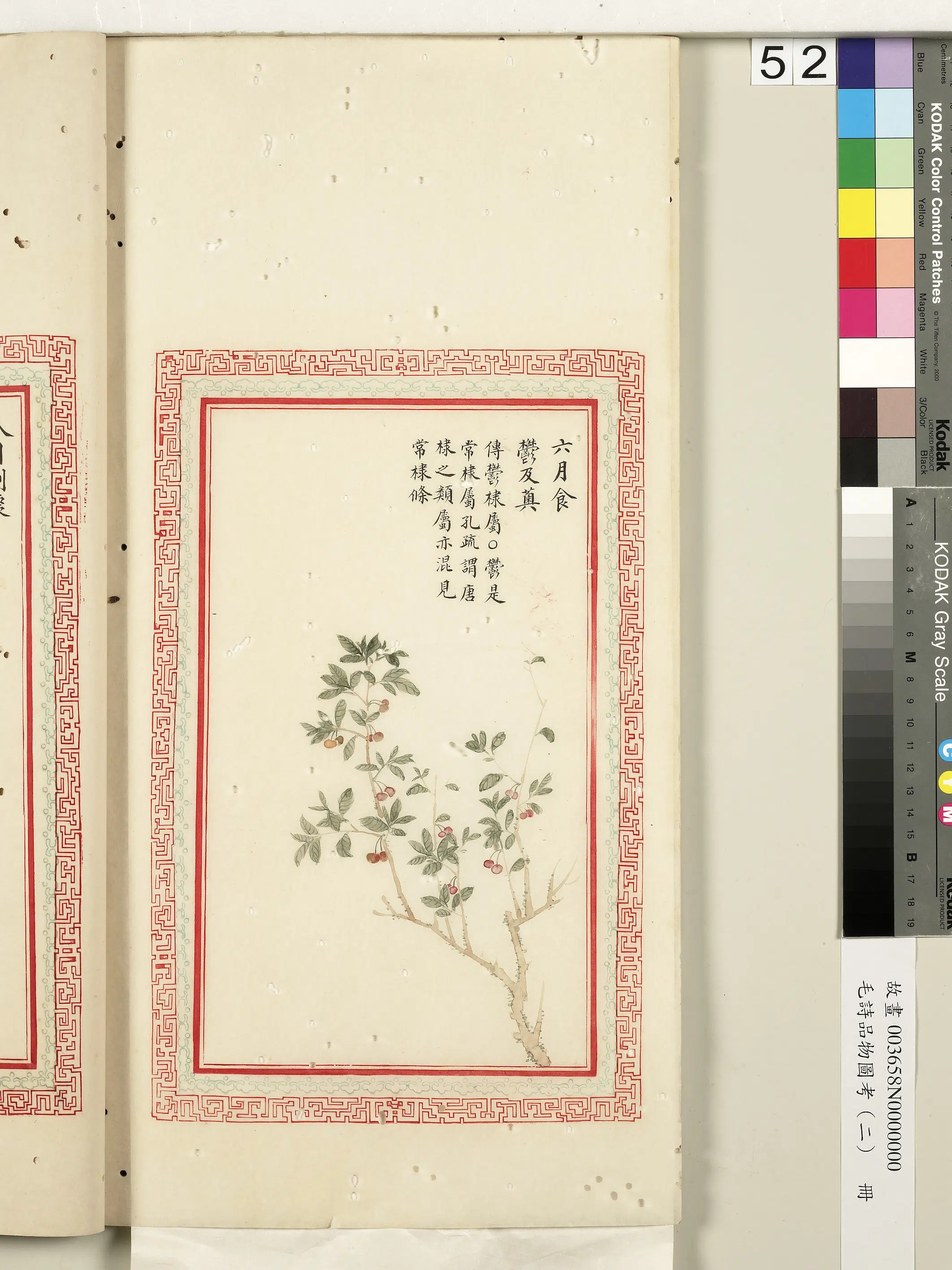 清代《毛诗品物图考（二）册-2》 第6张