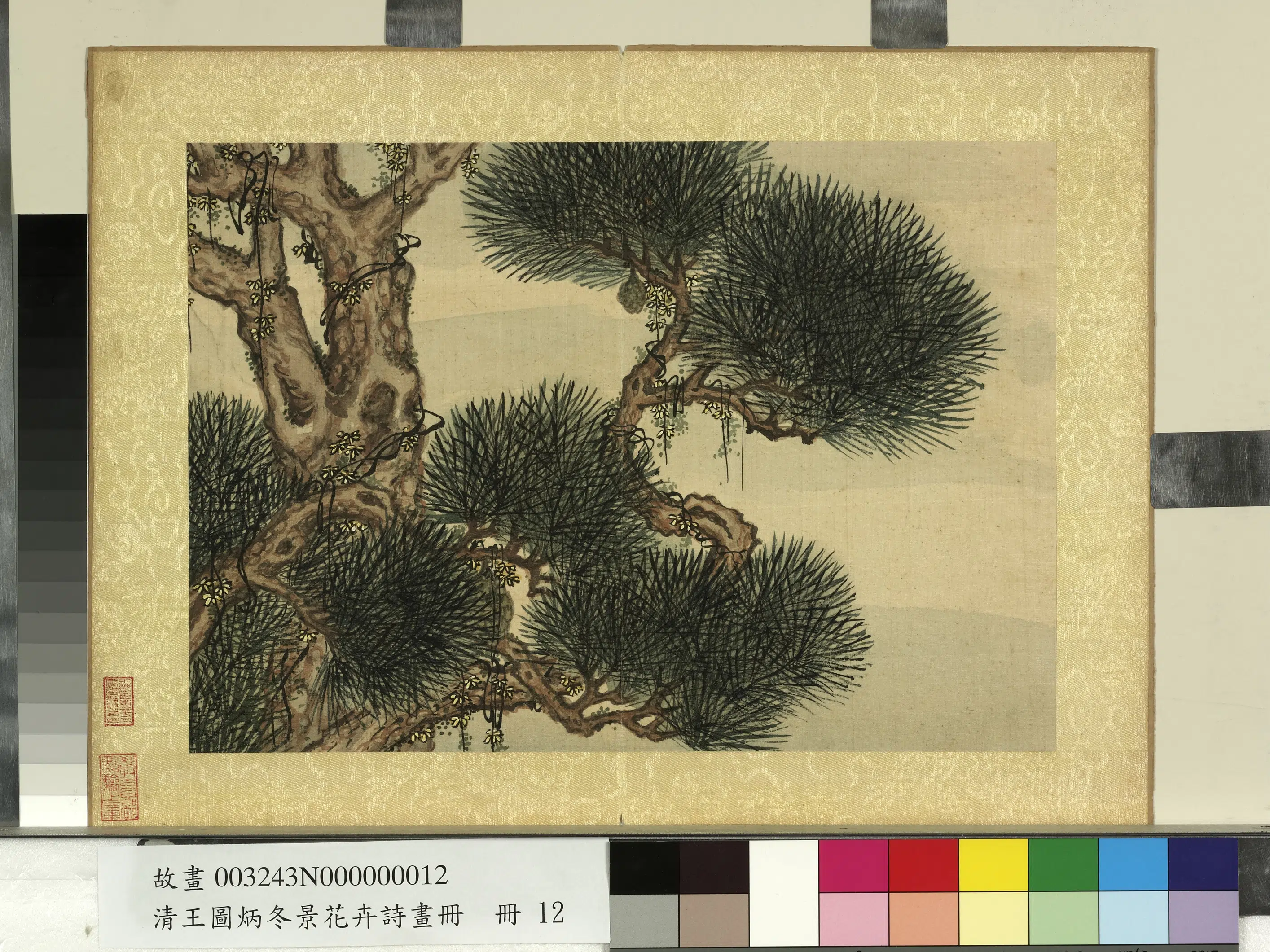 清代【王图炳】《冬景花卉诗画册》 第13张