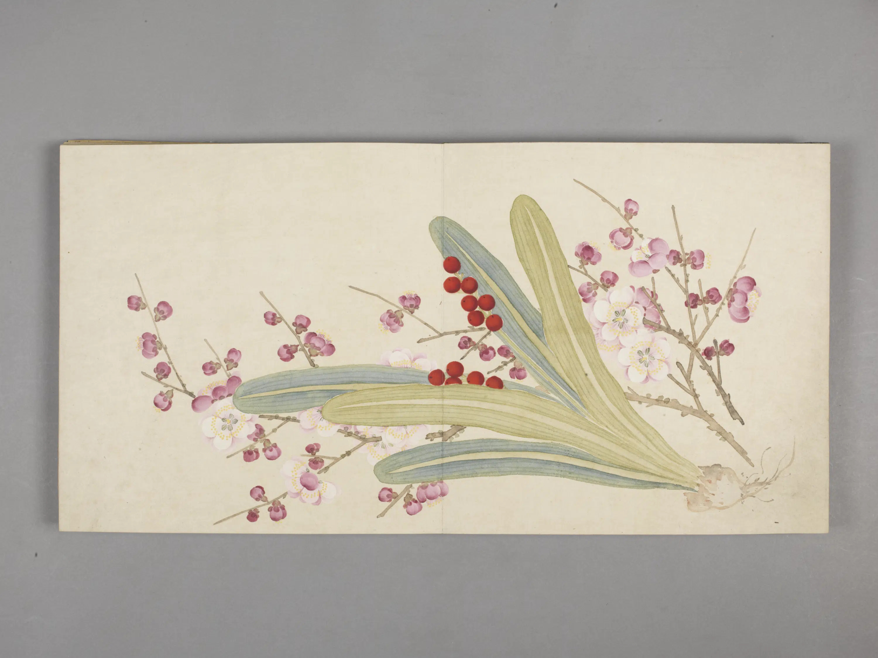 清代【董诰】《花卉小册(11开)》 第1张 清代【董诰】《花卉小册(11开)》 第1张