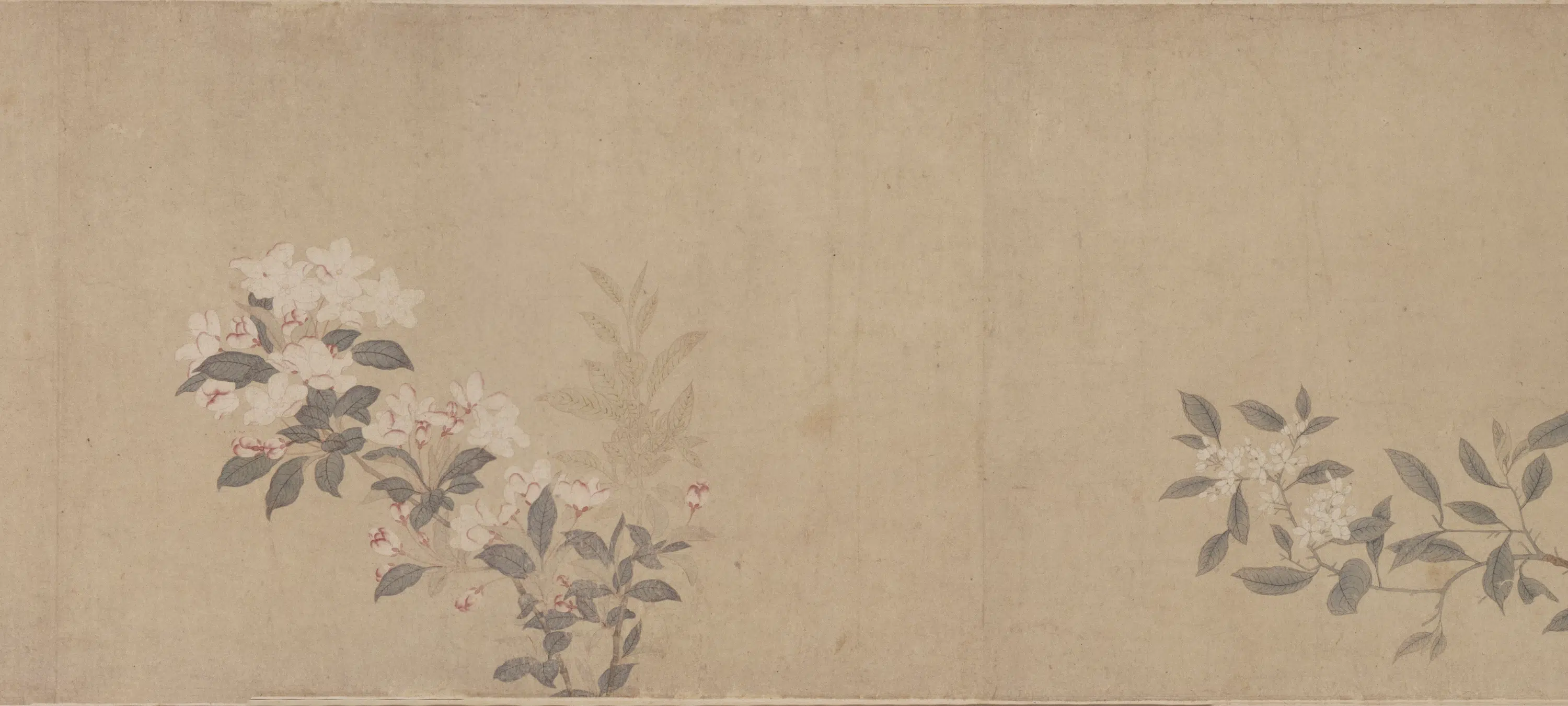 元朝【钱选】《八花图卷》 第3张