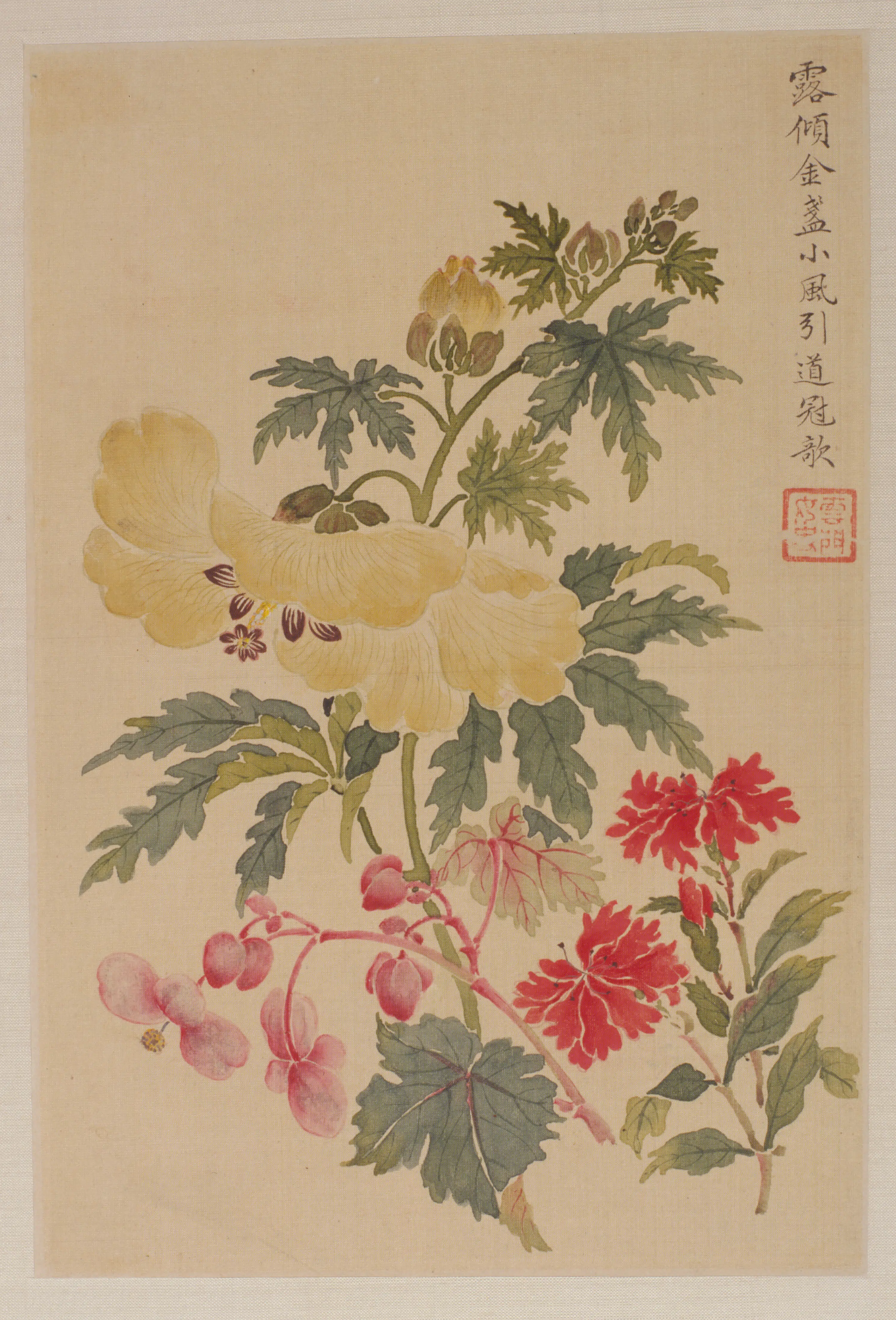 清代【金礼嬴】《花卉册（5开）》