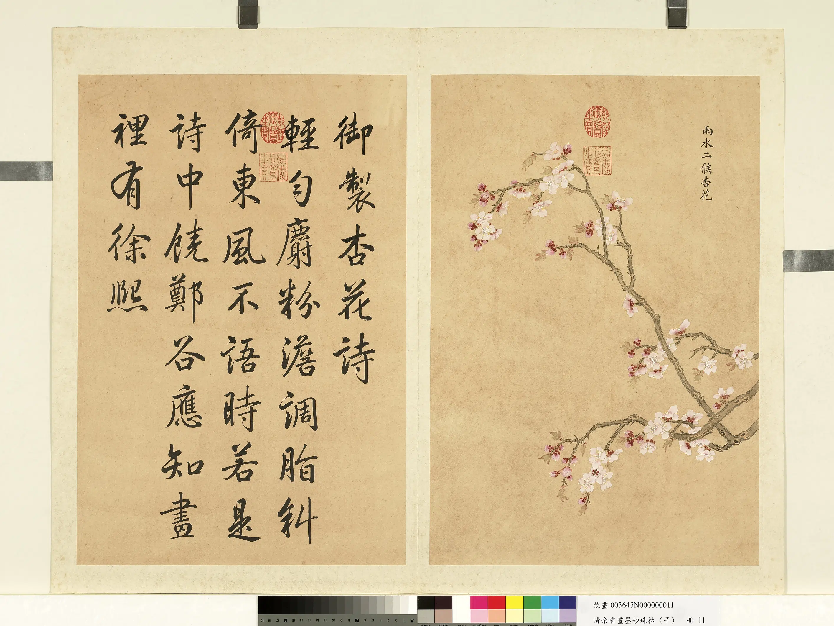 清代【余省】《画墨妙珠林（子）册-雨水二候杏花》