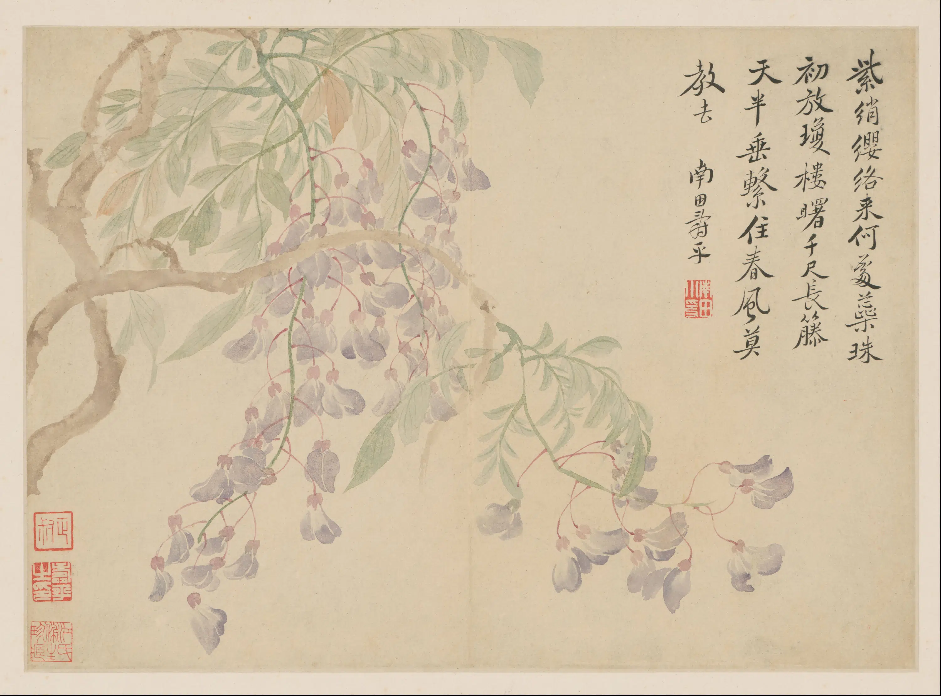 清代【恽寿平】《花卉册-1-13开》 第4张