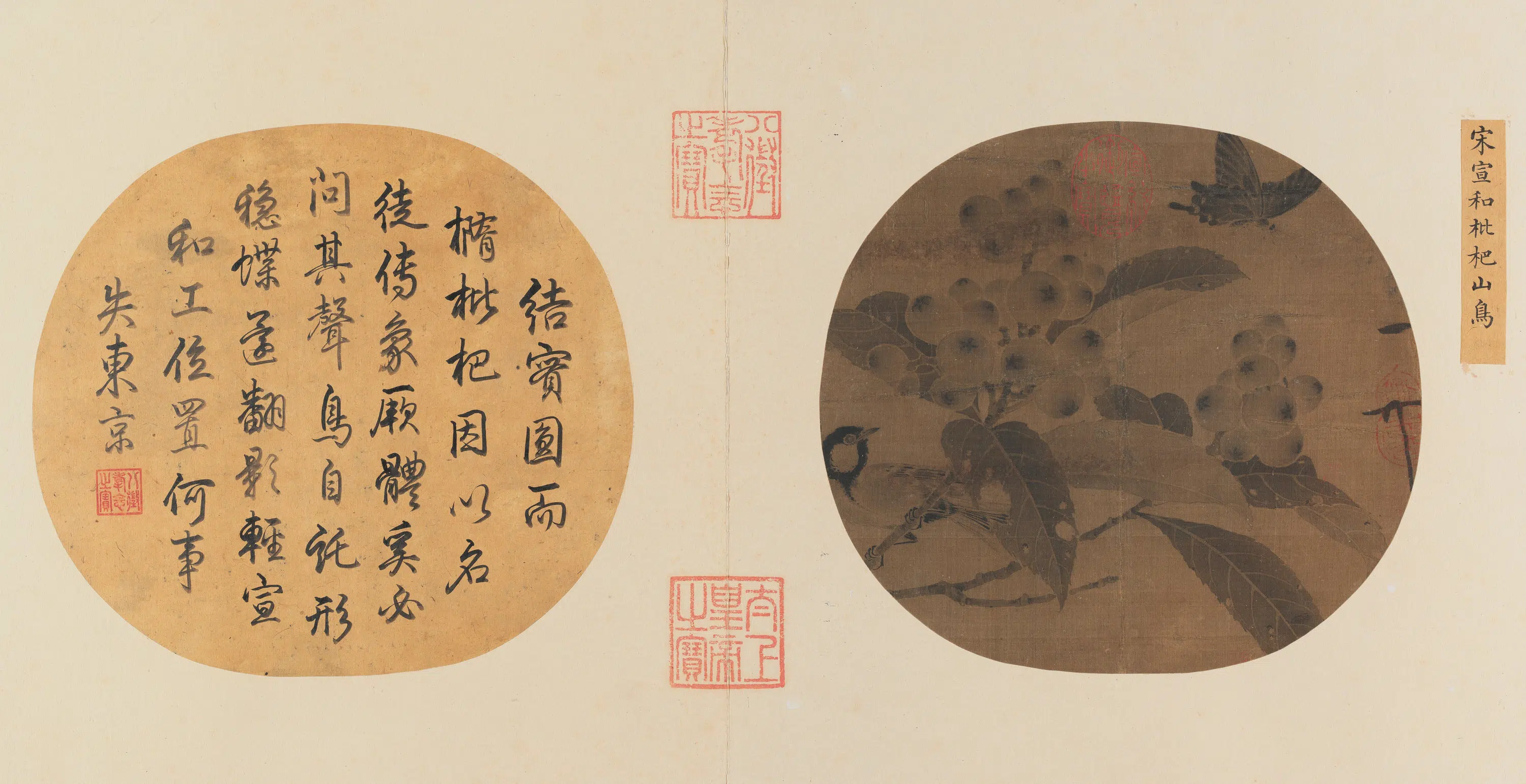宋代【赵佶】《枇杷山鸟图页》