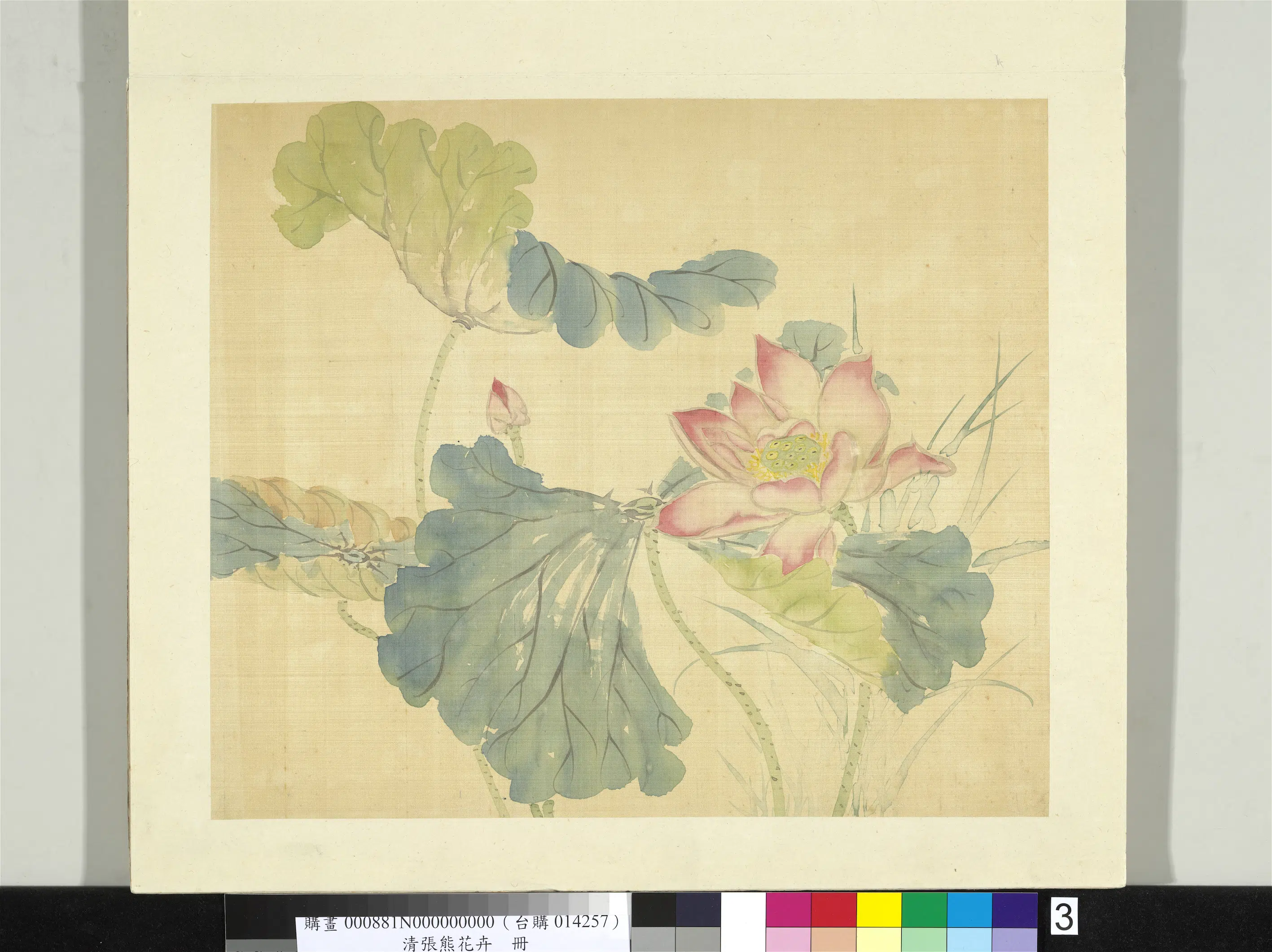 清代【张熊】《花卉册-荷花》 第1张