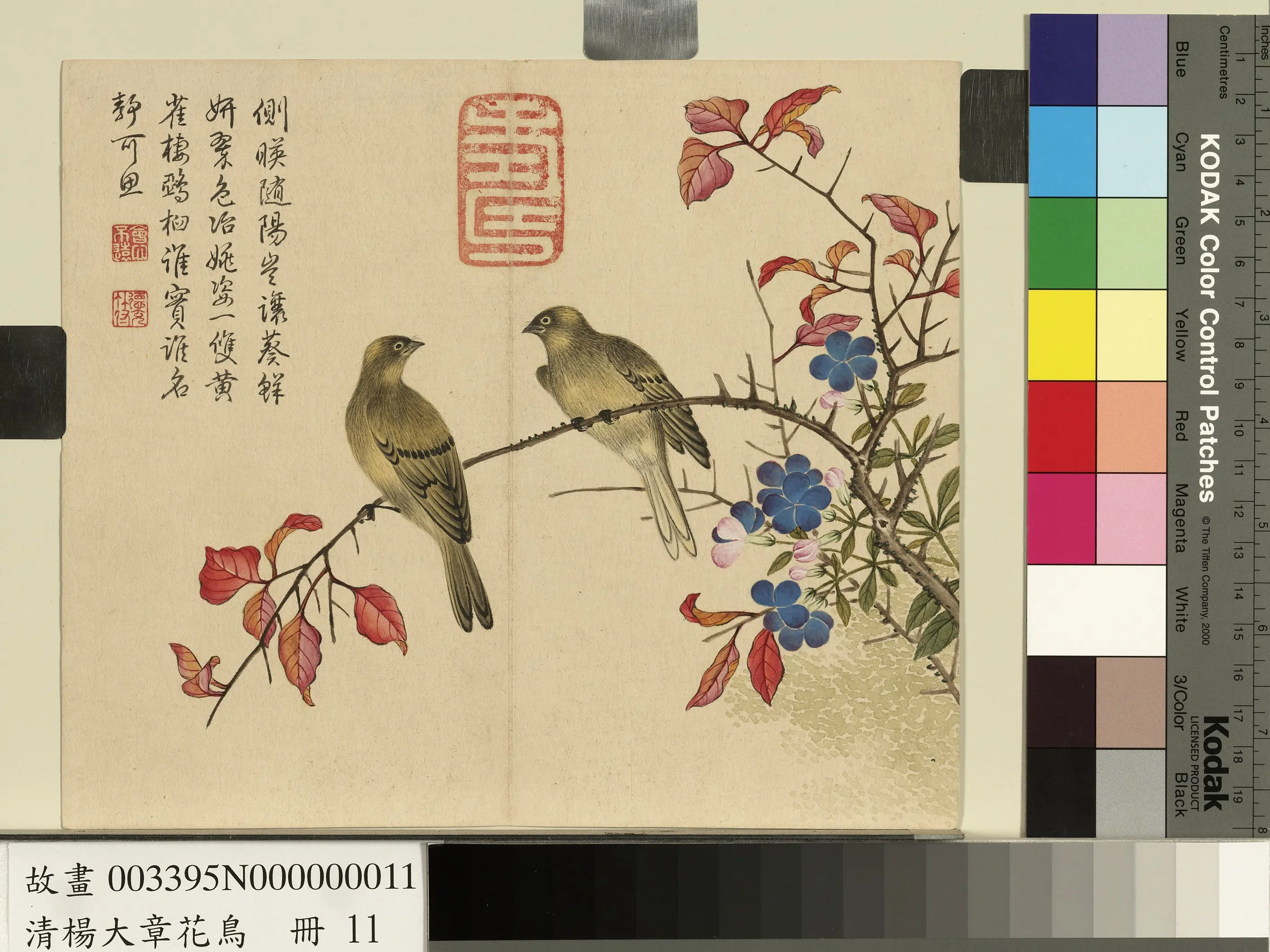 清代【杨大章】《花鸟册》 第7张 清代【杨大章】《花鸟册》 第7张