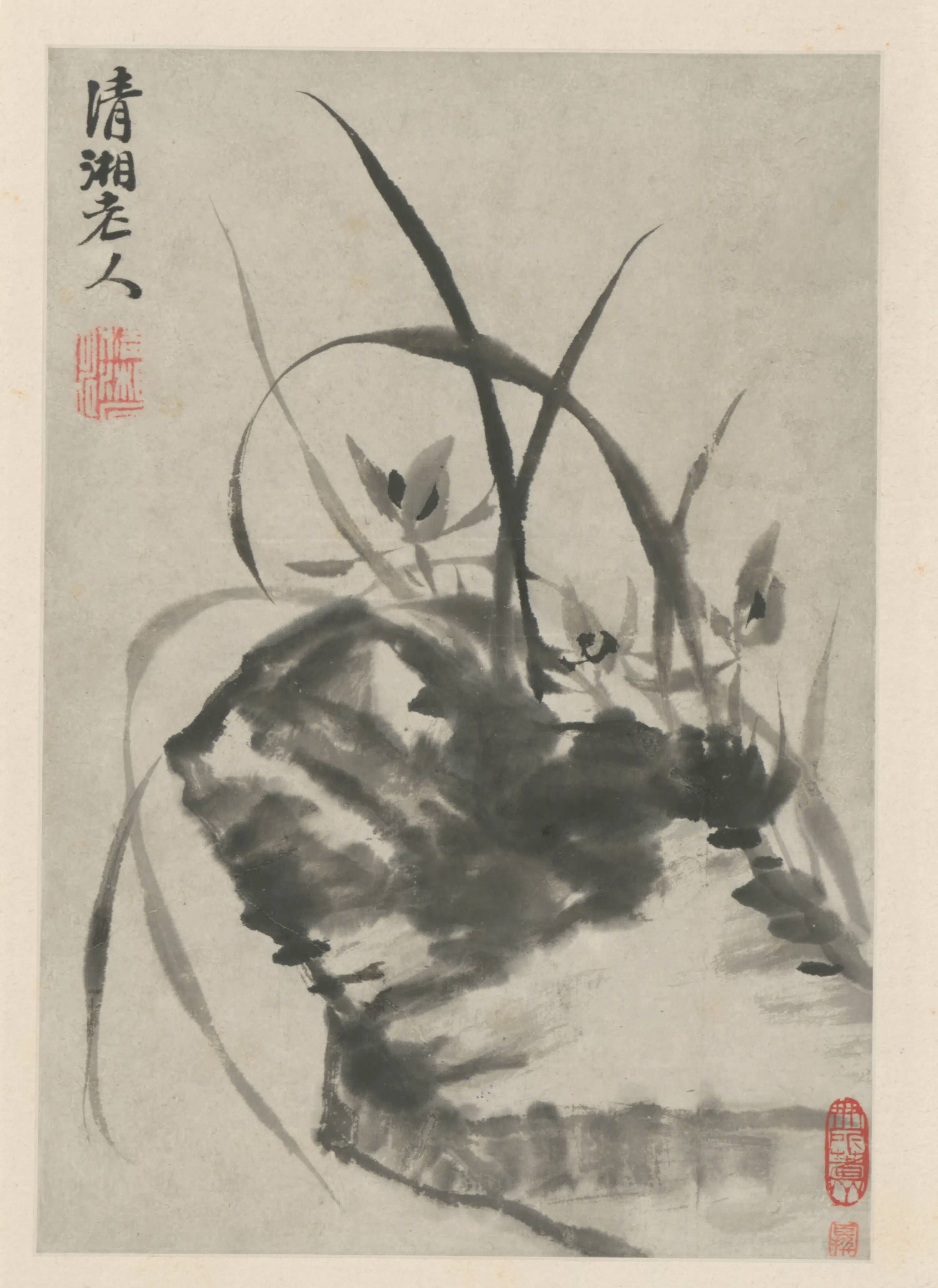 清代【原济】《花卉图册》 第3张 清代【原济】《花卉图册》 第3张