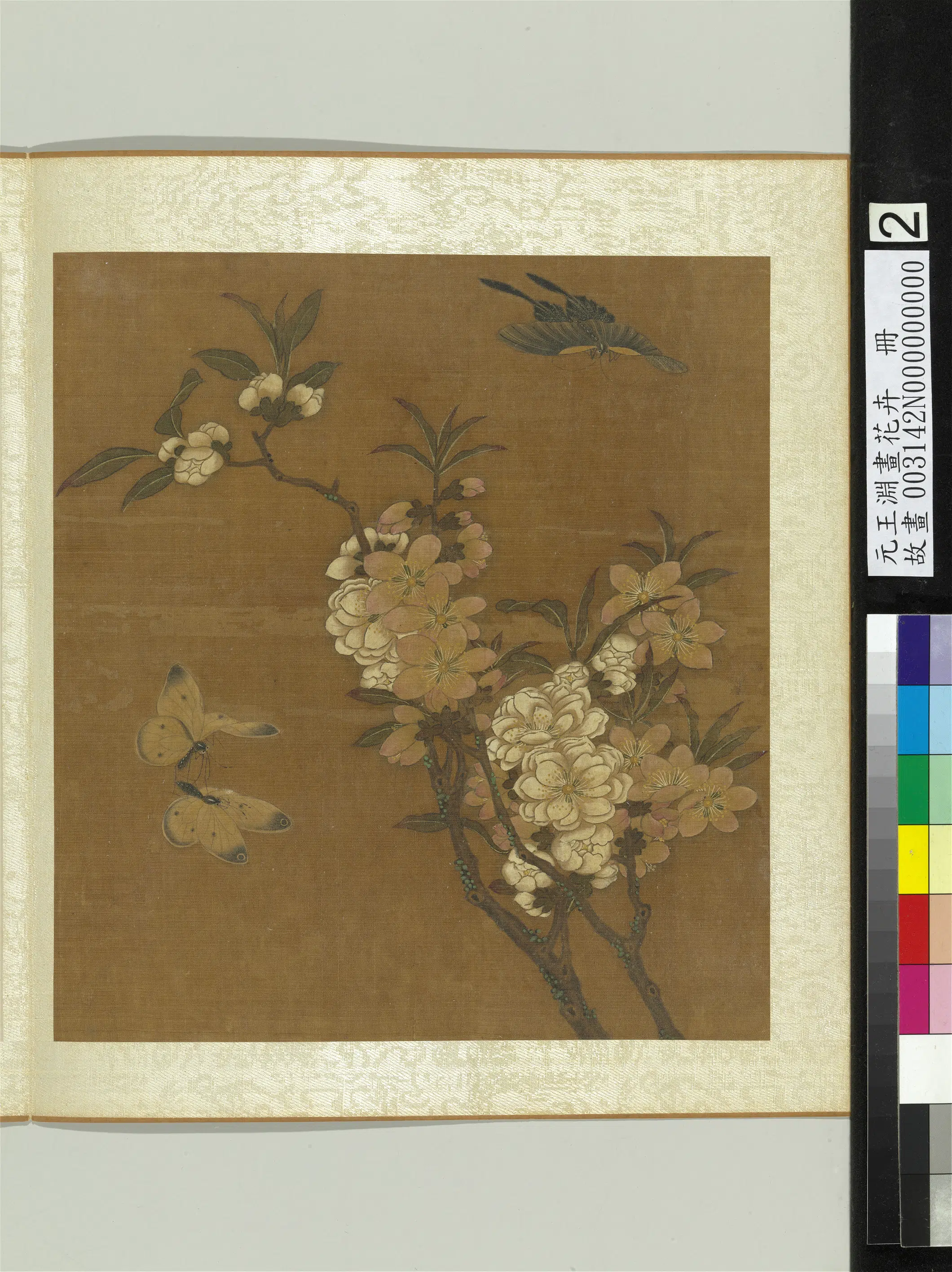 元朝【王渊】《画花卉册-桃花碧桃花》