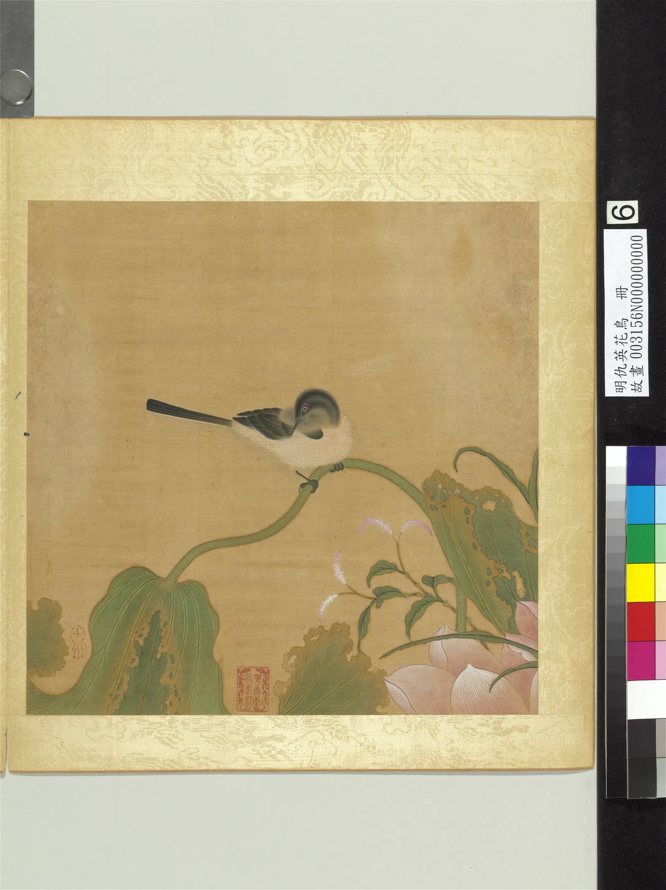 明朝【仇英】《花鸟册-鹡鸰荷花》