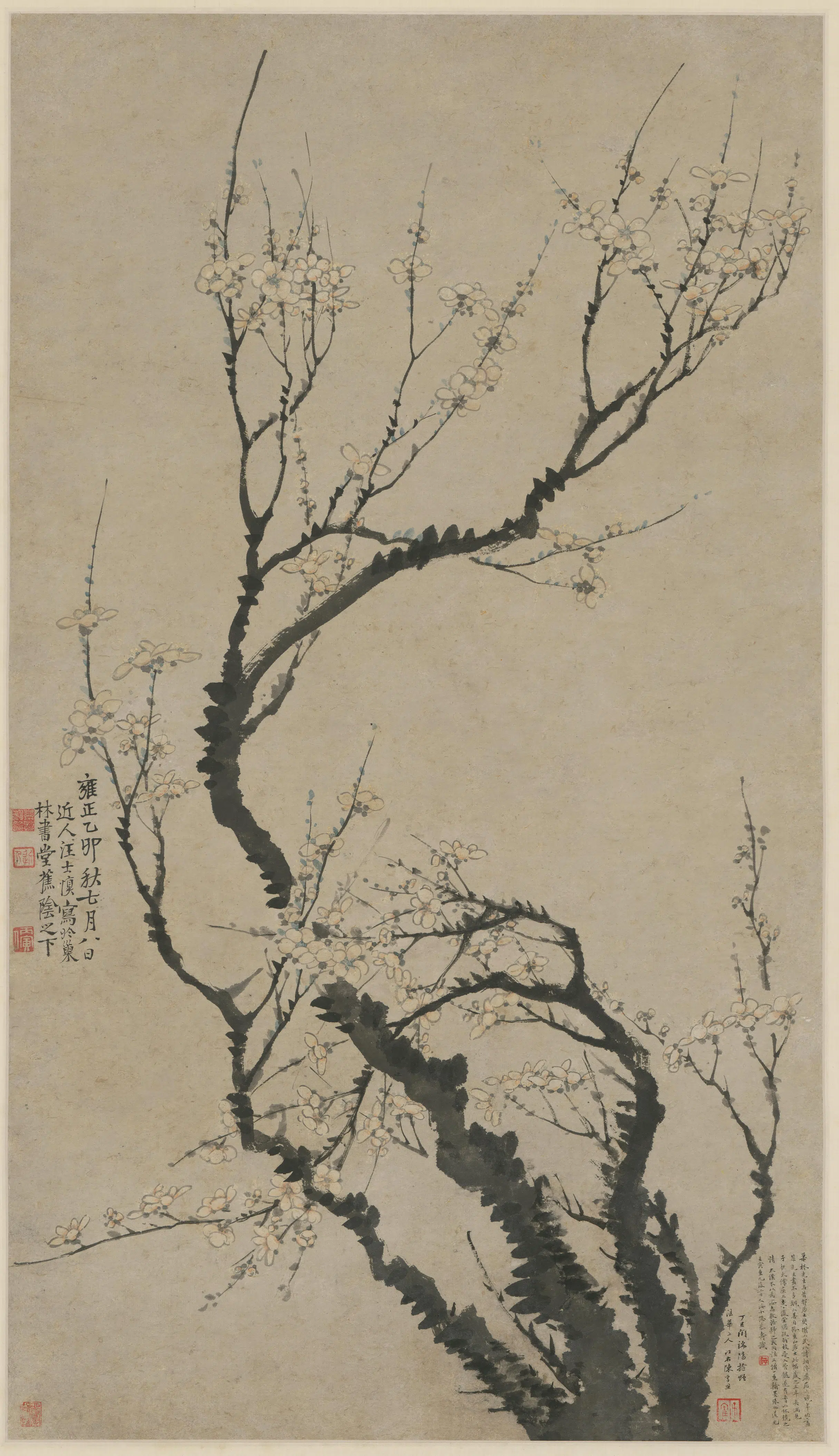 清代【汪士慎】《梅花图》