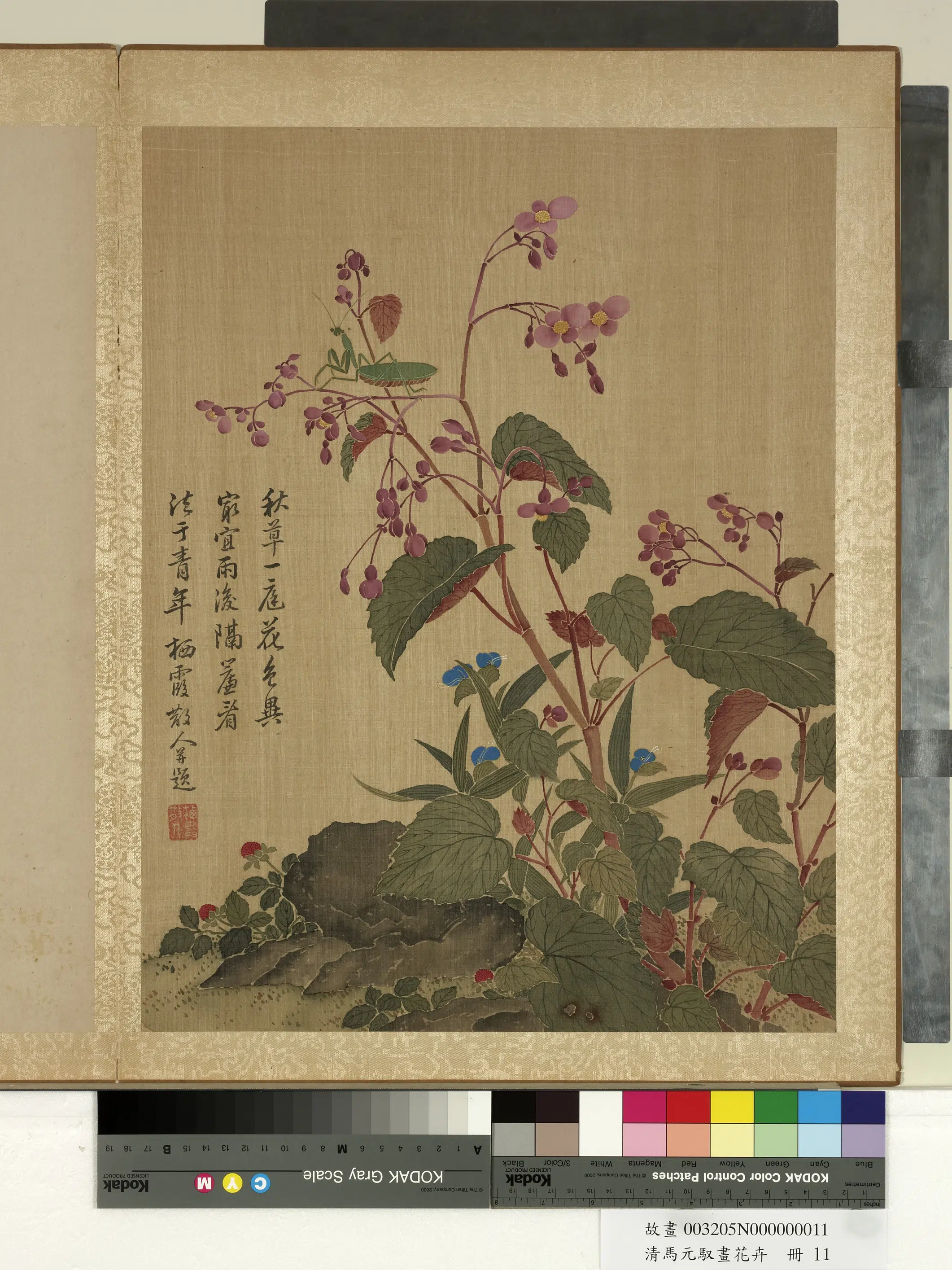 清朝【马元驭】《画花卉册-海棠螳螂》