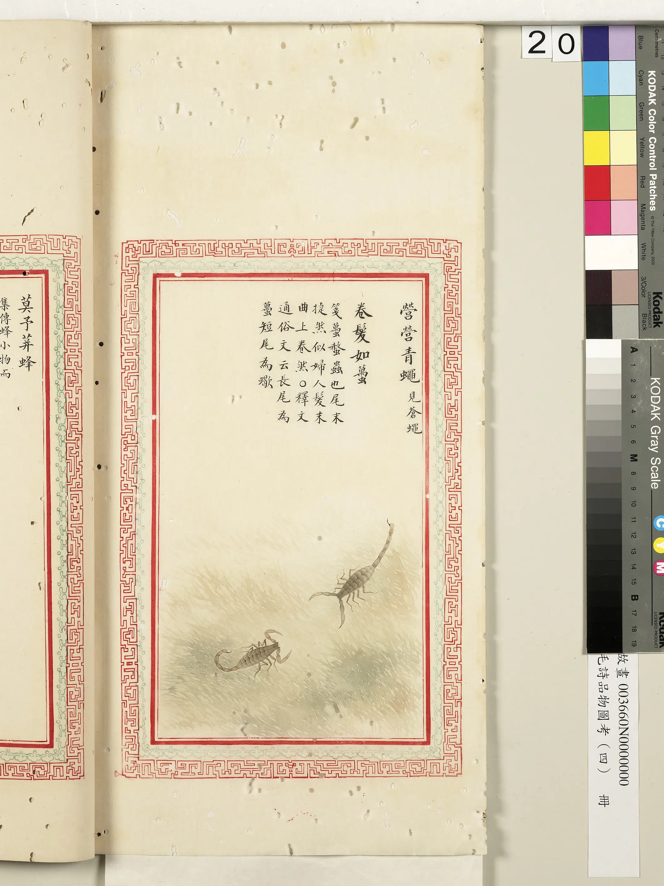 清代《毛诗品物图考(四)册-2》 第17张 清代《毛诗品物图考(四)册-2》 第17张