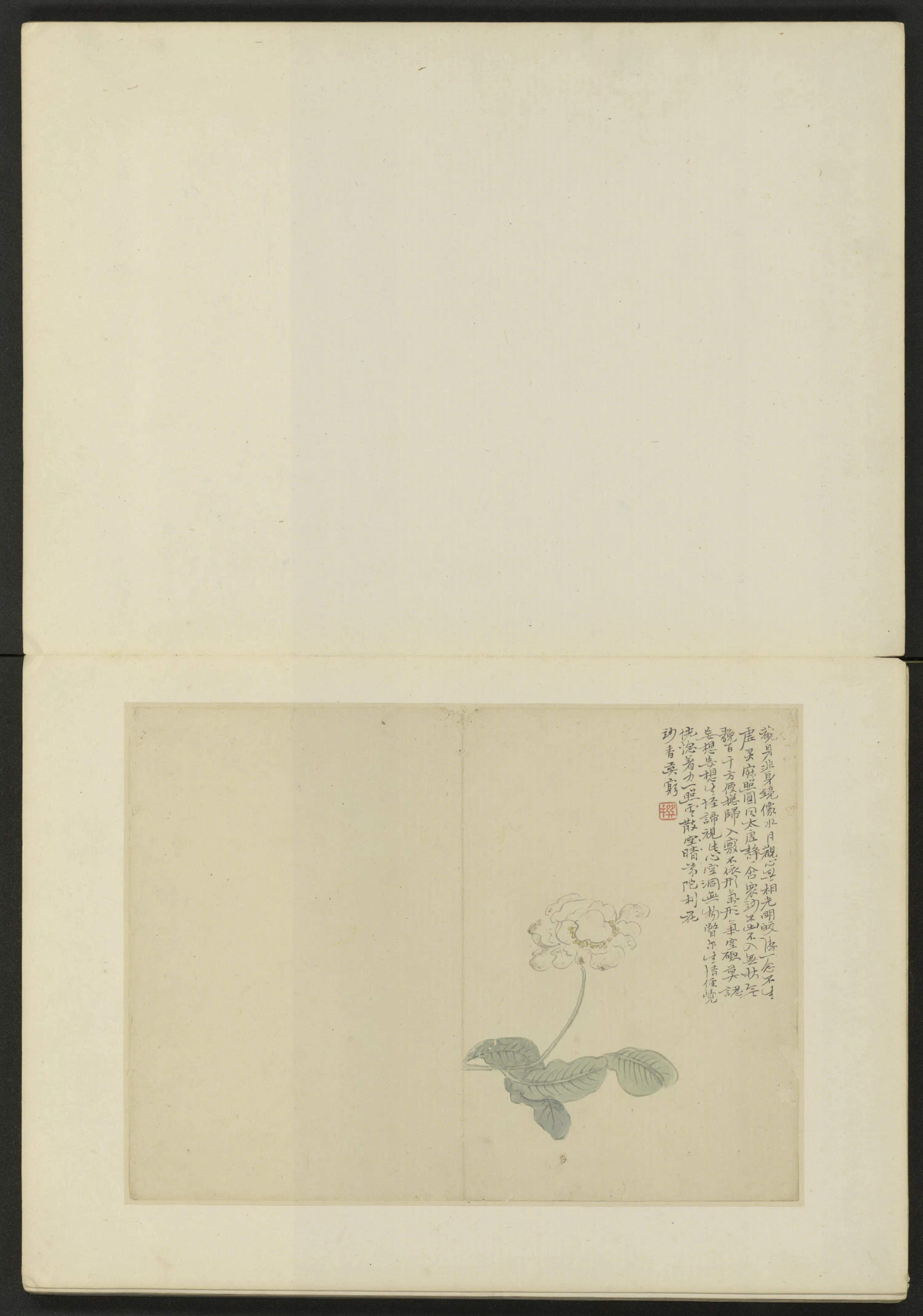 清代【陈撰】《花卉册（10开）》 第5张