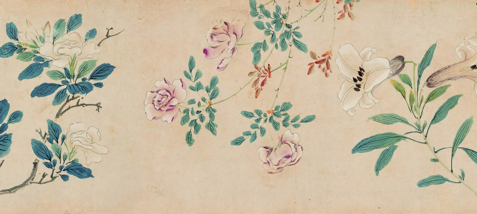 明朝【马守真】《花卉卷》 第6张