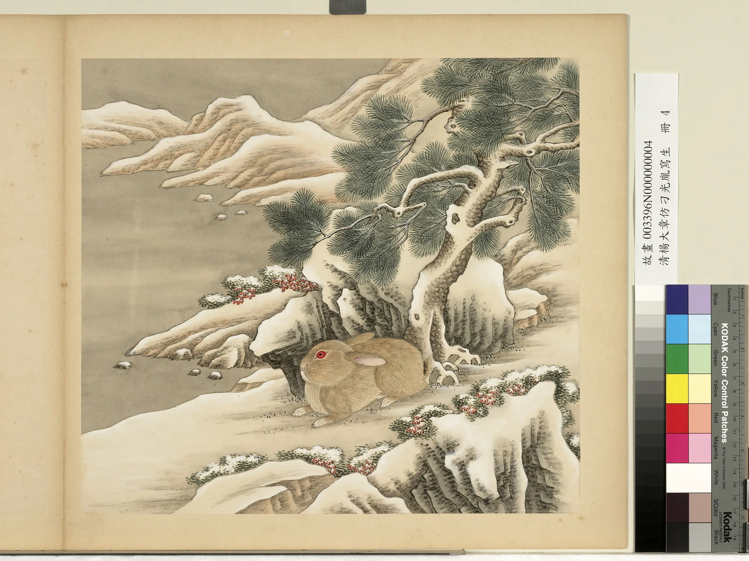 清代【杨大章】《仿刁光胤写生册》