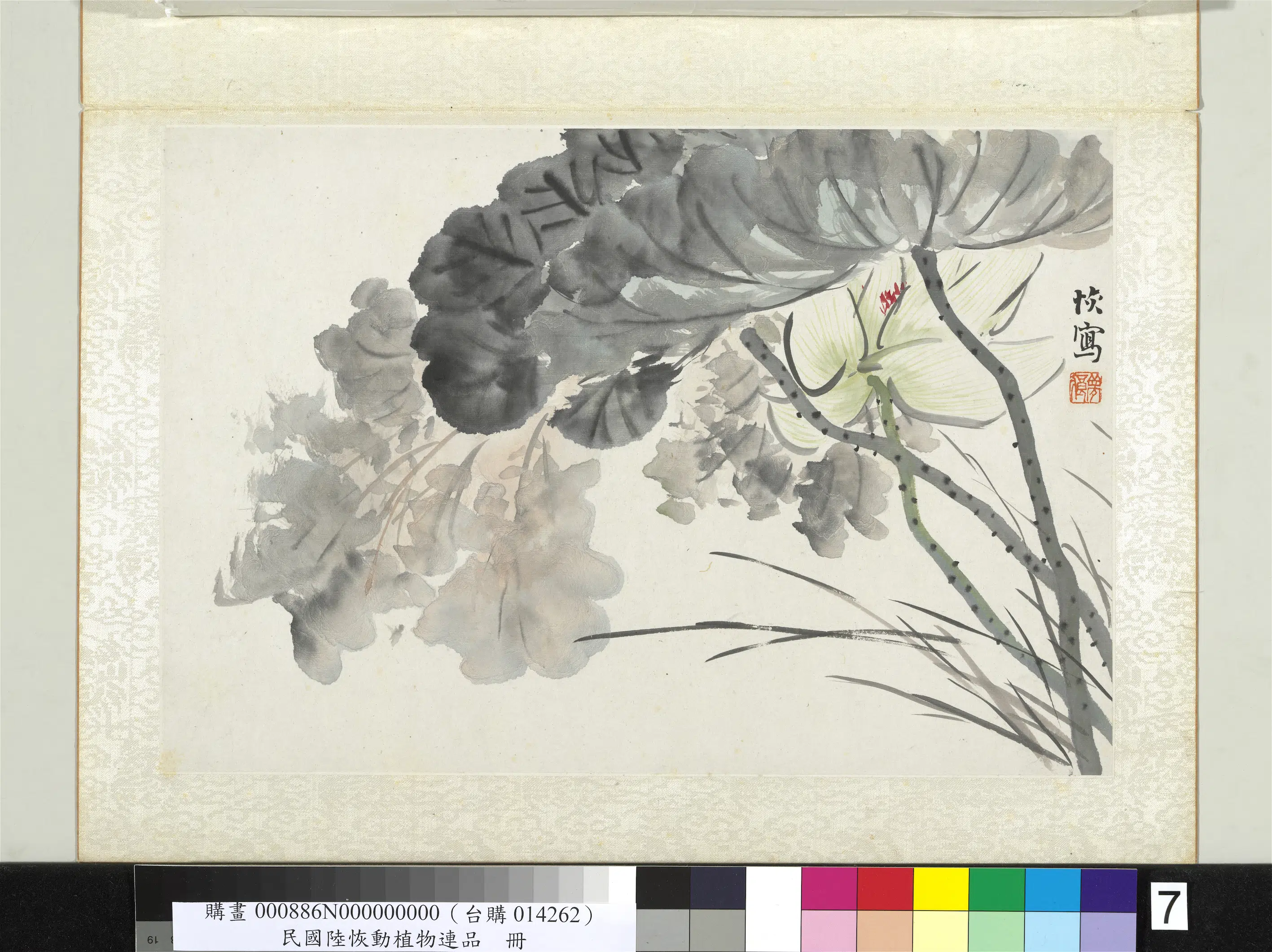 清代【陆恢】《动植物逸品册》 第13张
