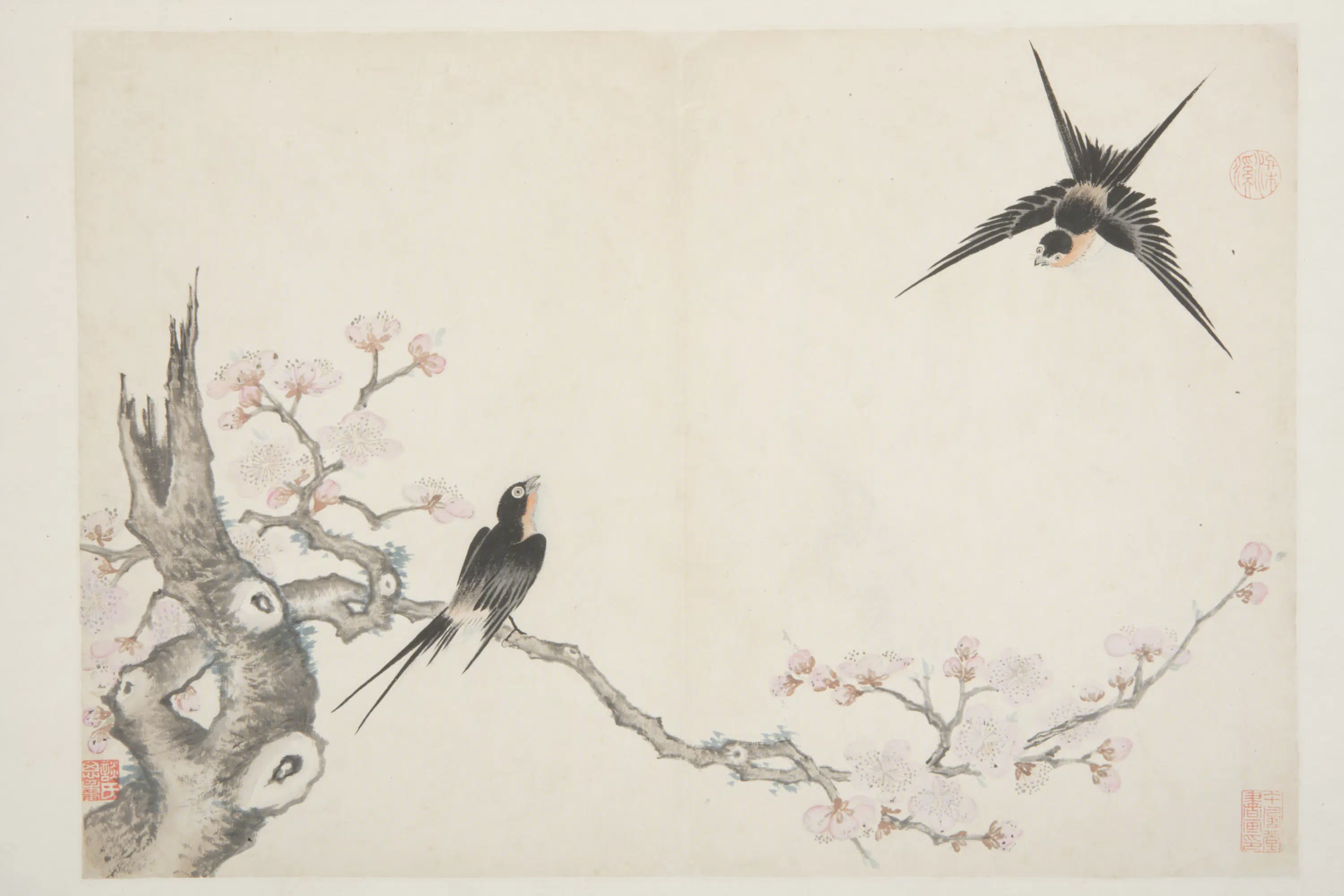 明朝【谈志伊】《花鸟册》 第13张